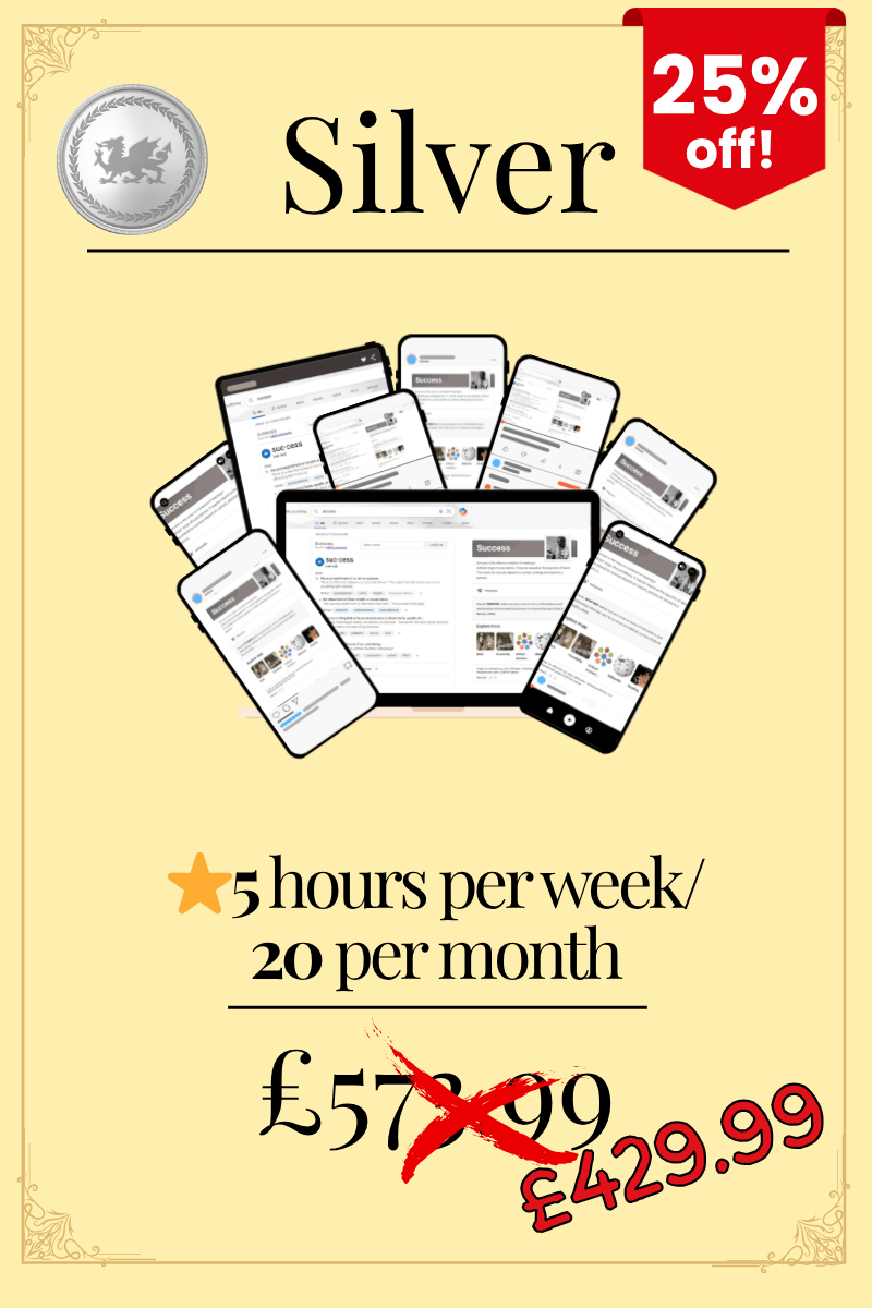 Moderation - Silver (12 Months Package)