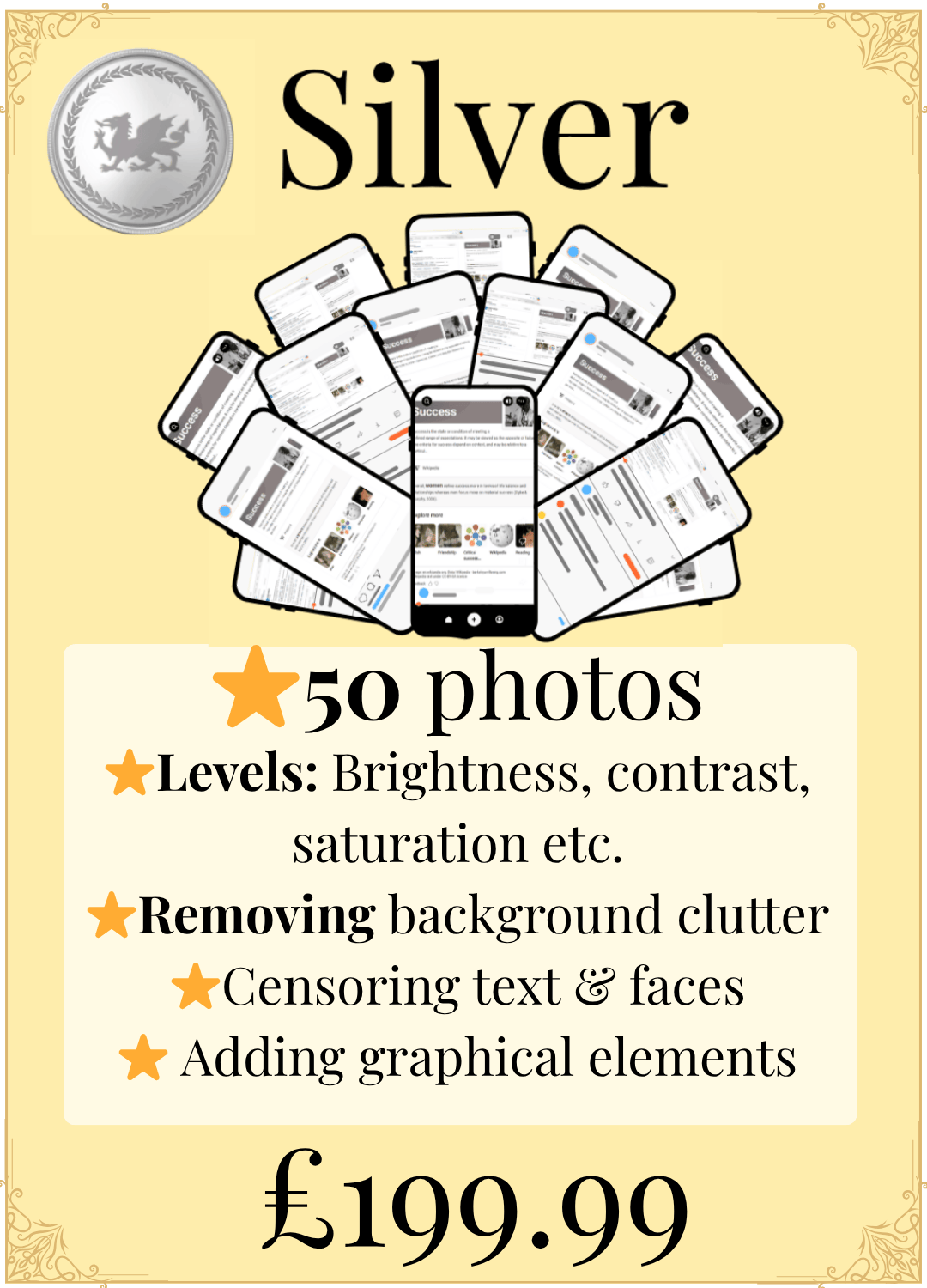 Photo Editing - Silver