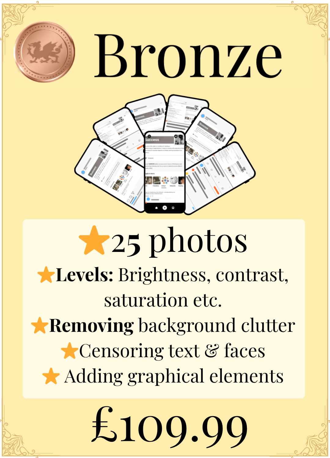 Photo Editing - Bronze