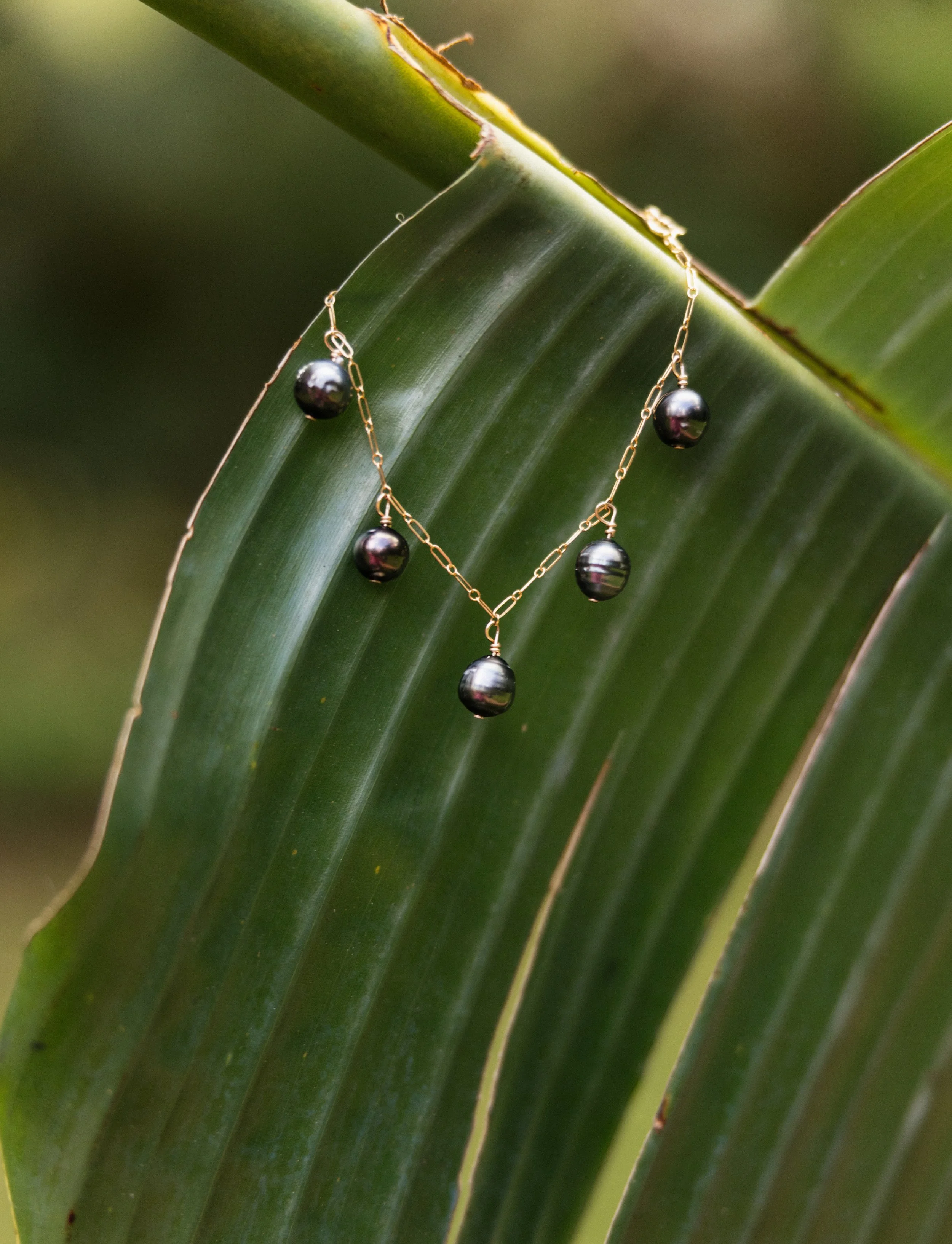 Tahitian Pearl Charm Bracelet