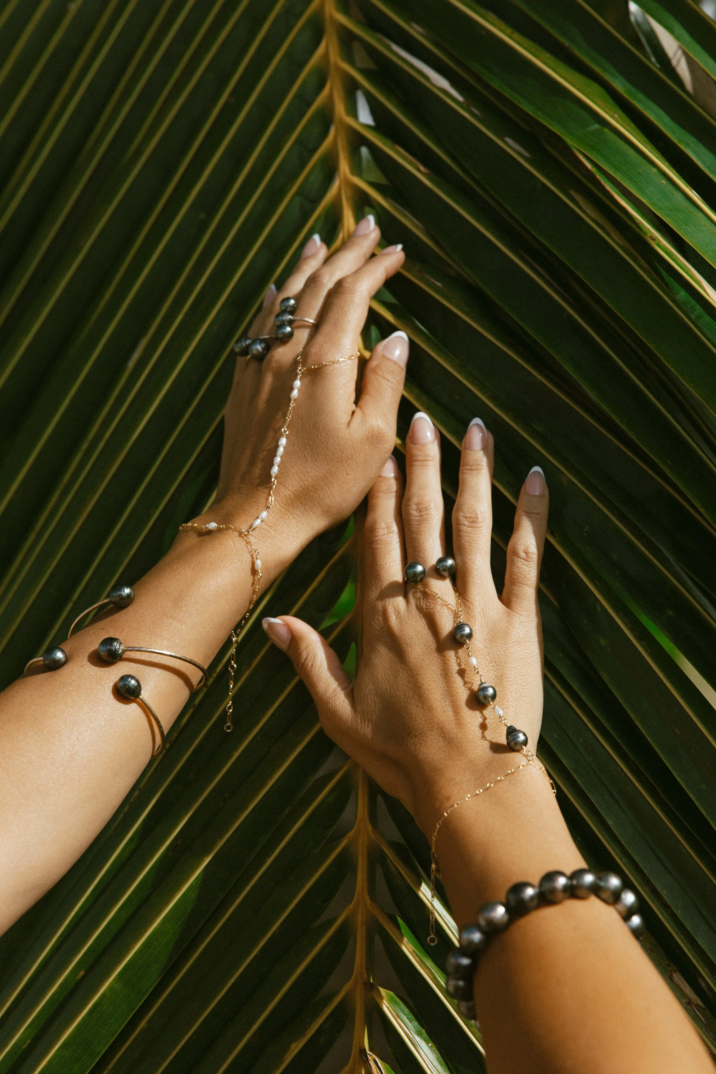 TropicalBum-SeaBreezeCollective-14.jpg