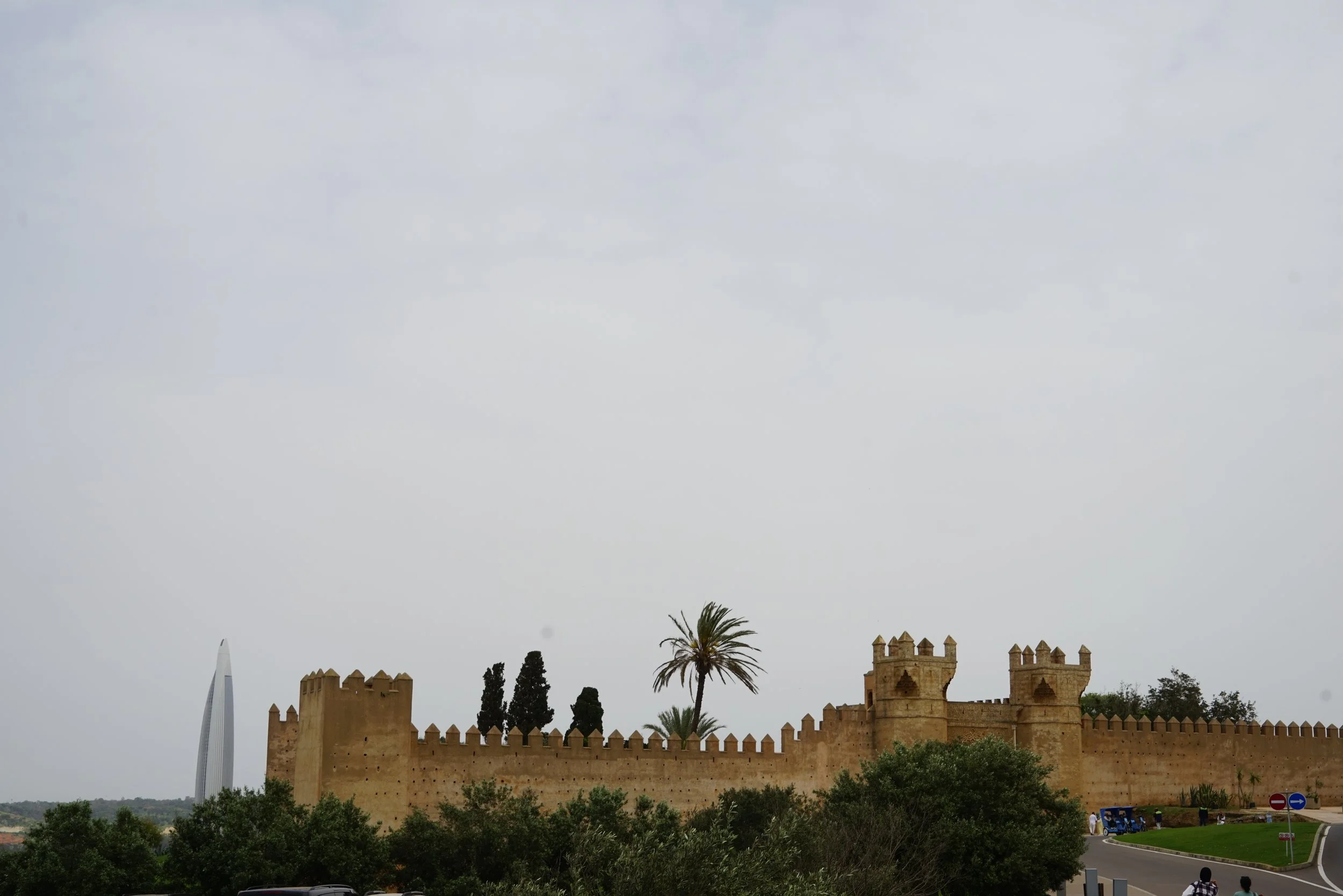 DSC09639.JPG