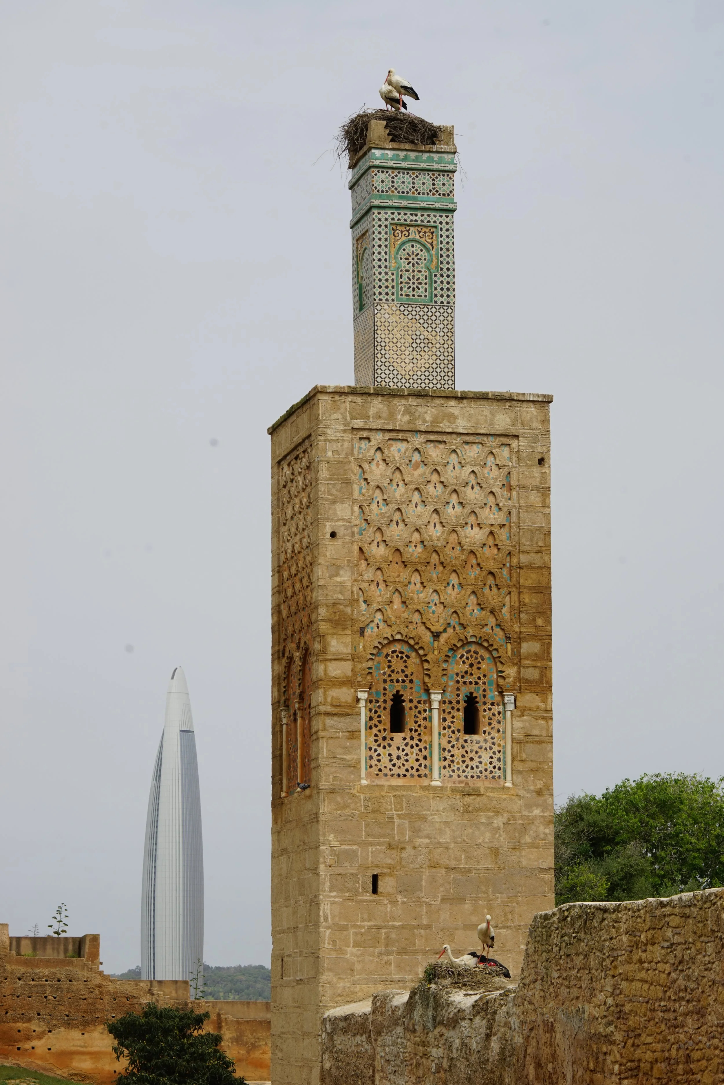 DSC09648.JPG
