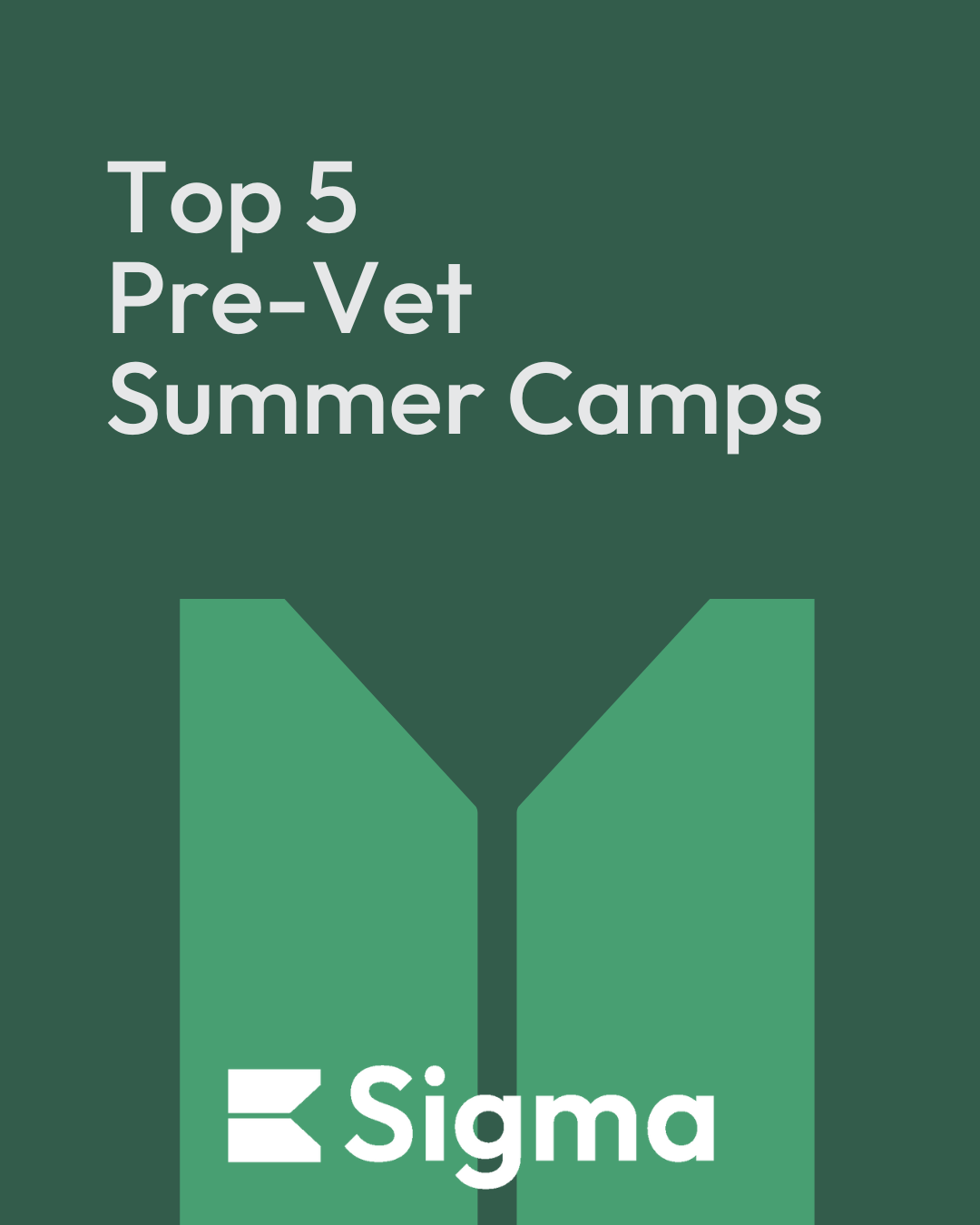 Make Your Summer Count: Pre-Vet