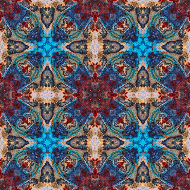 Cosmos Cam Modern Mandala artwork