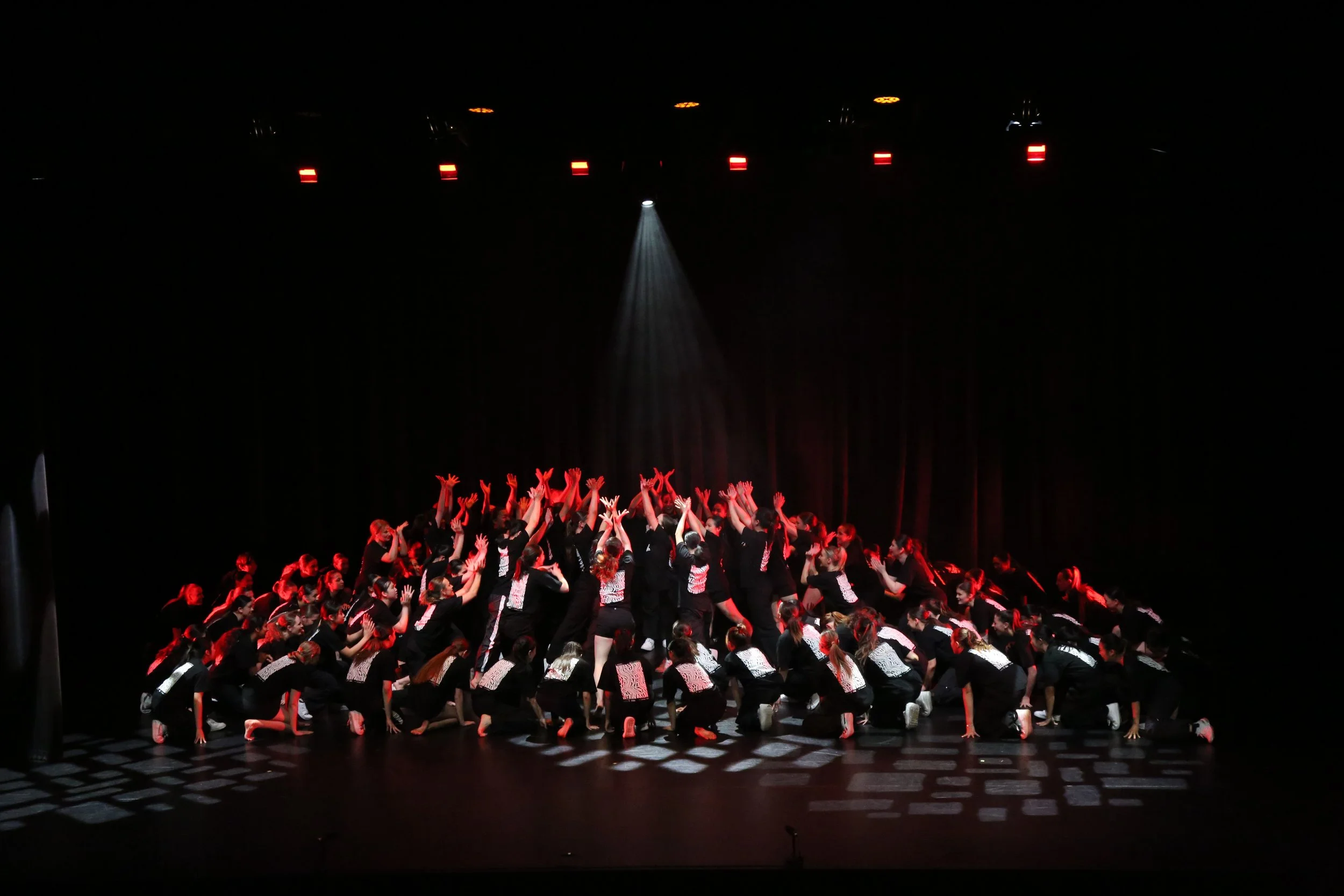 danceConcert (25).JPG