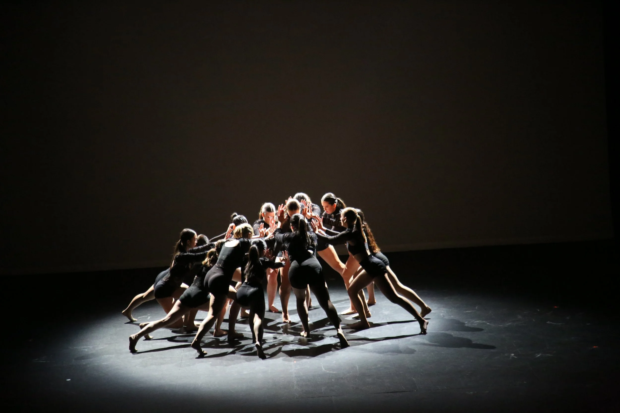 danceConcert (18).JPG