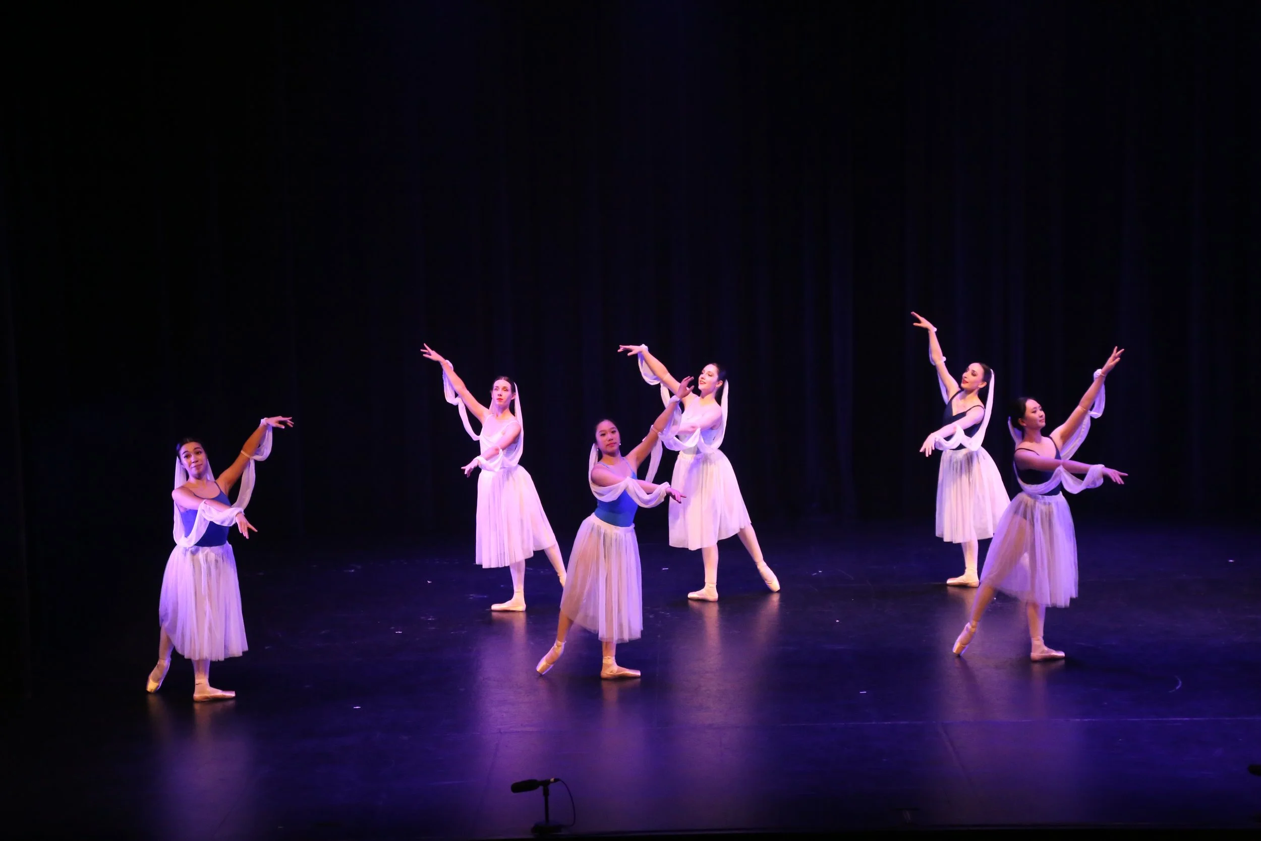 danceConcert (9).JPG