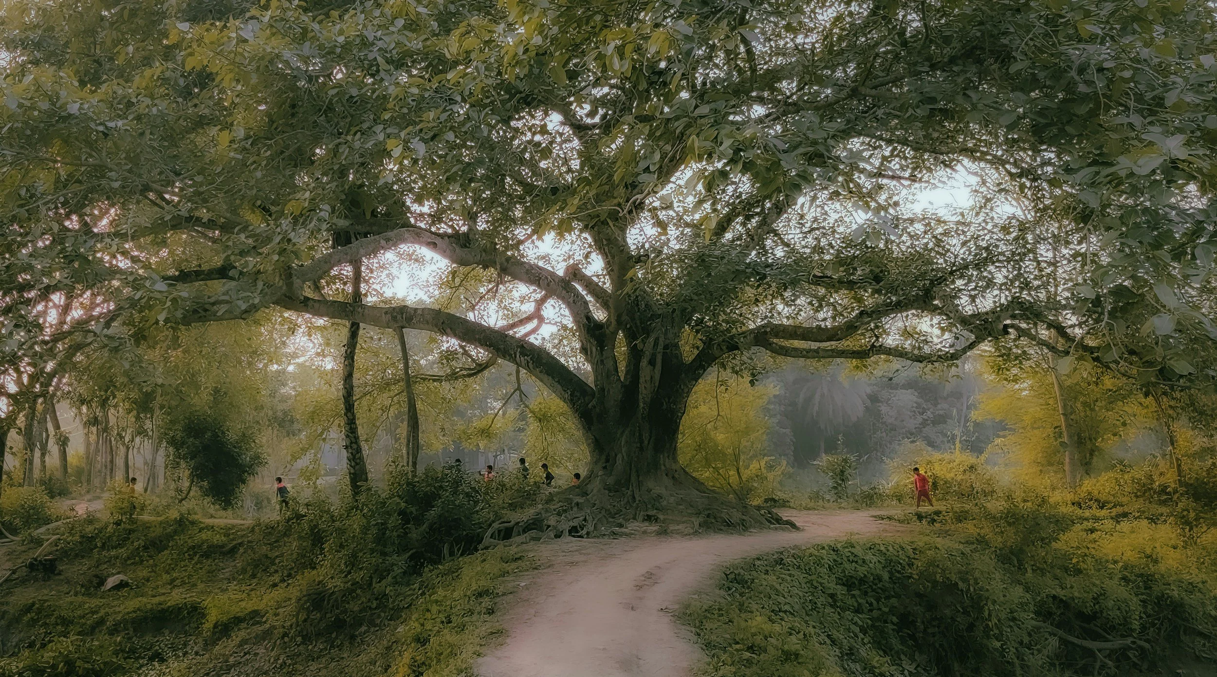 The Legacy you leave Your Great-Grandchildren