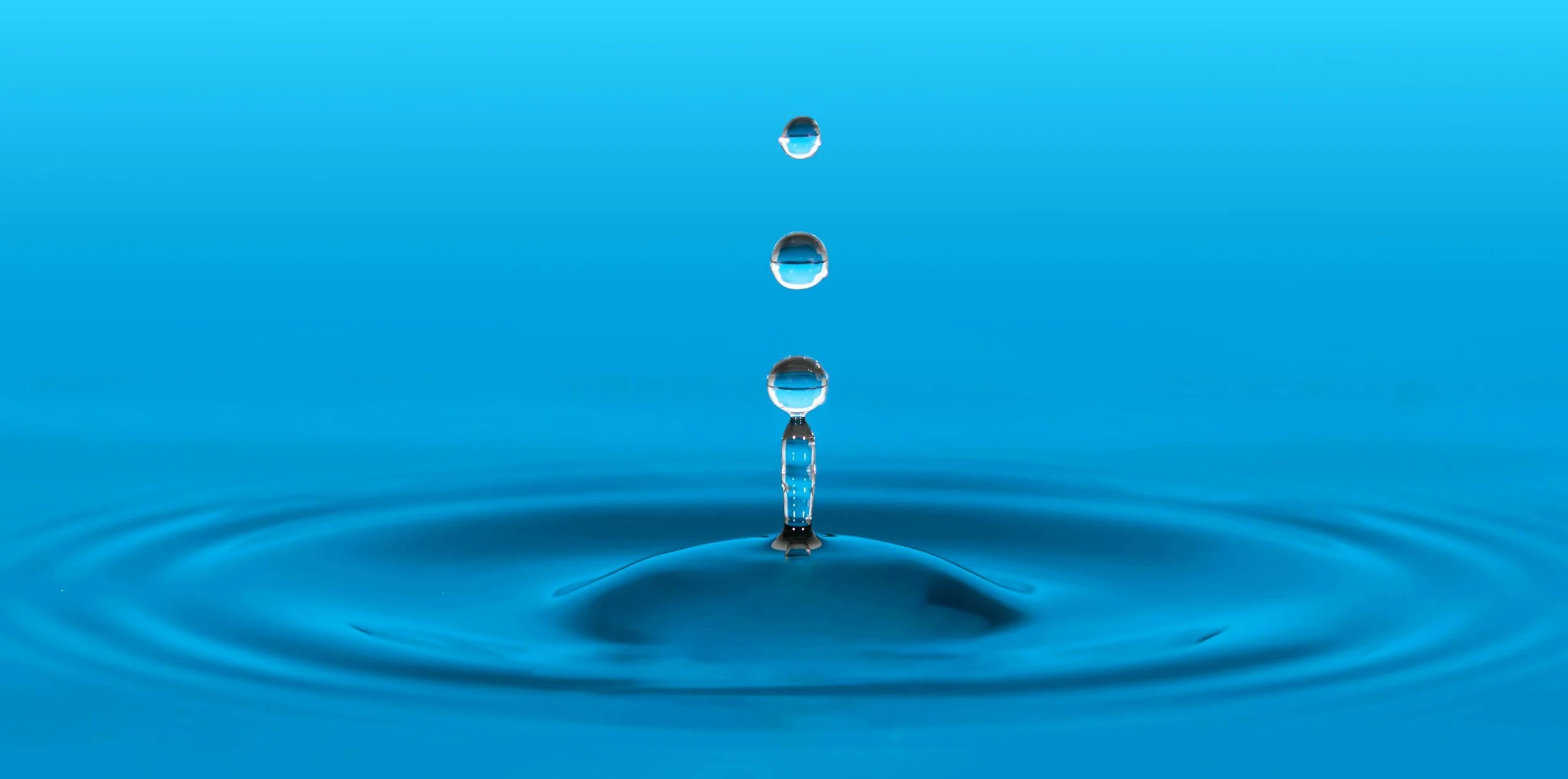 What is a coach? a chaplain? an educator?