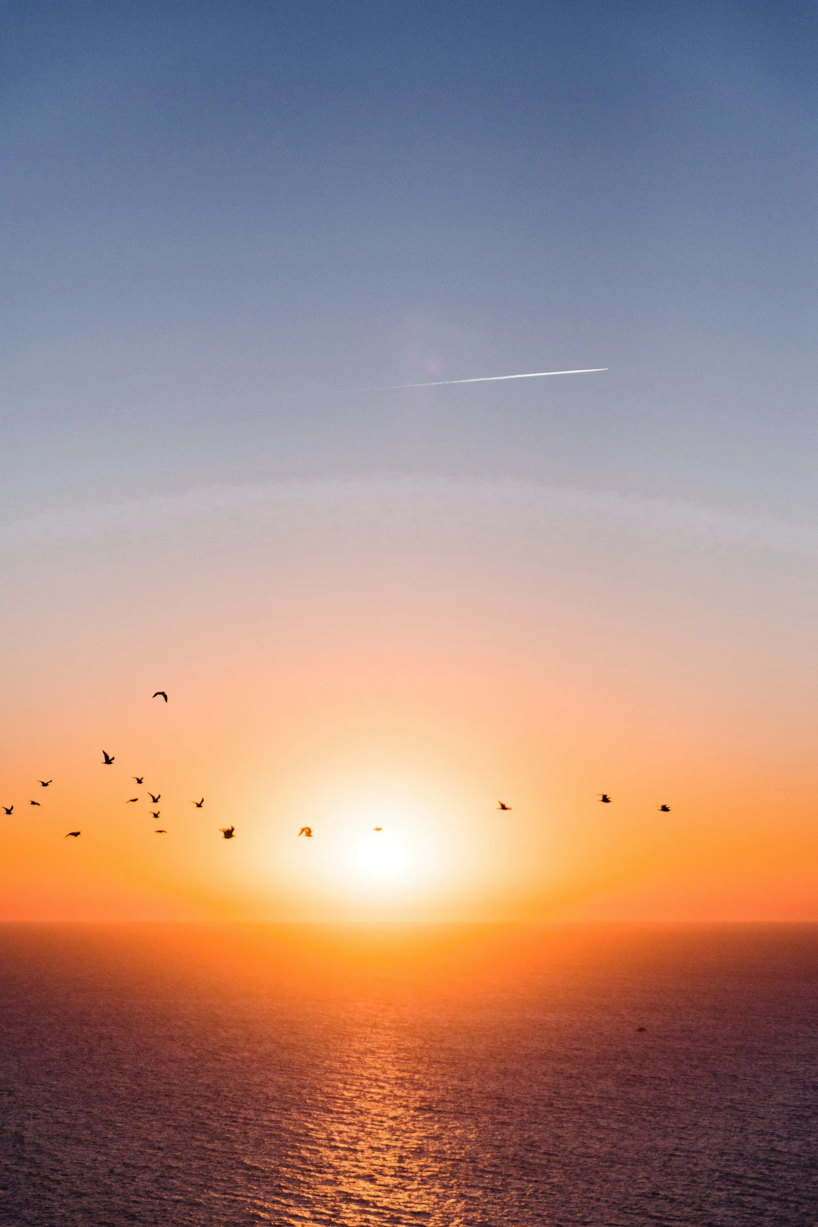 A sunset over the ocean, with orange and purple hues in the sky, birds flying in the foreground, and a plane streaking across the sky.