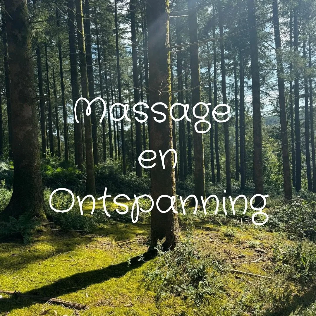 Eigenlijk kan ik wel zeggen dat&hellip;💜

Deze twee woorden ondertussen mijn passie zijn geworden, waar ik dag en nacht mee bezig ben en mijn hele lichaam en ziel aan wijd. 

Waarom ik dit doe met mijn lichaam en ziel? Nou dat is omdat Holistisch ge