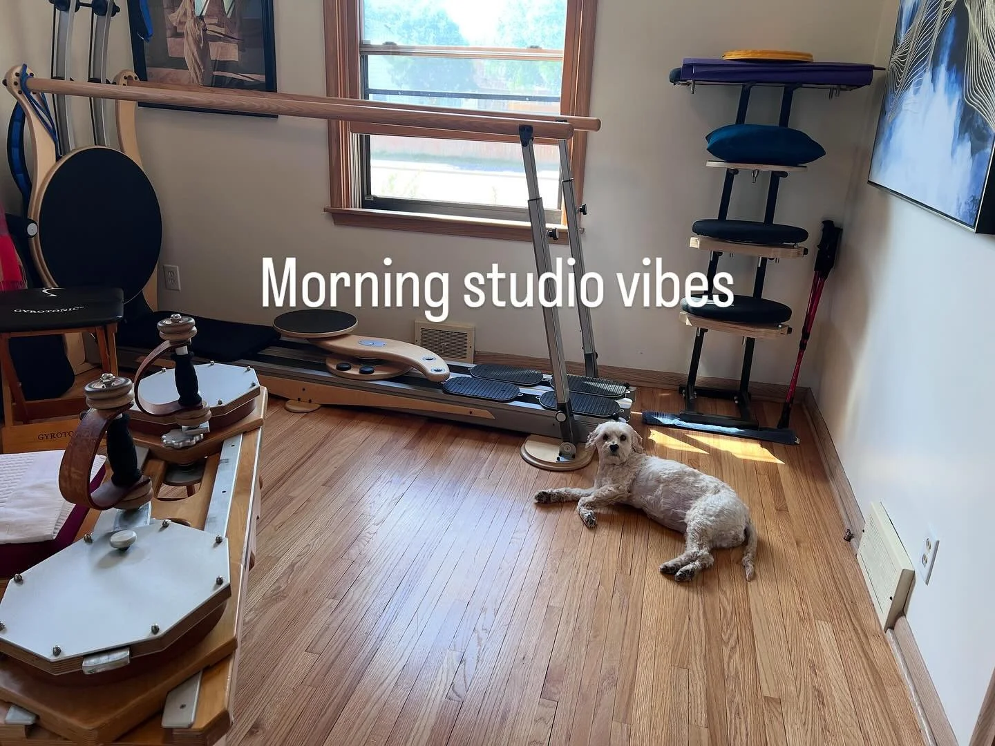 Always in the studio and ready to go before clients show up❤️❤️❤️#gyrotonic #gyro #gyrotonicexpansionsystem&reg;