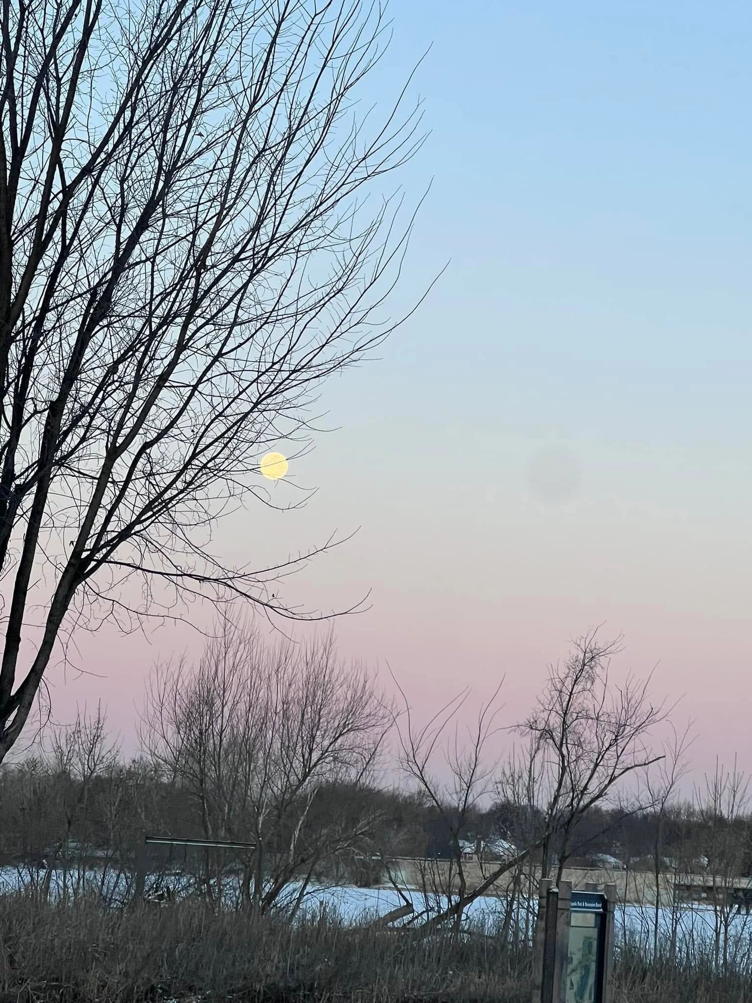 -4 feels like -10. Yikes. Annie has the right idea