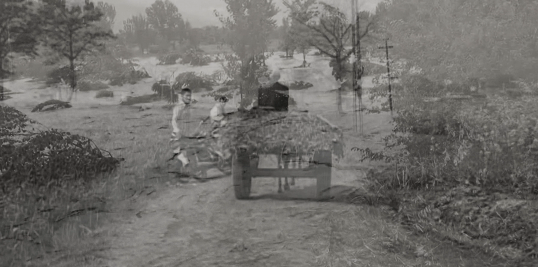 uprooted - an archival film essay