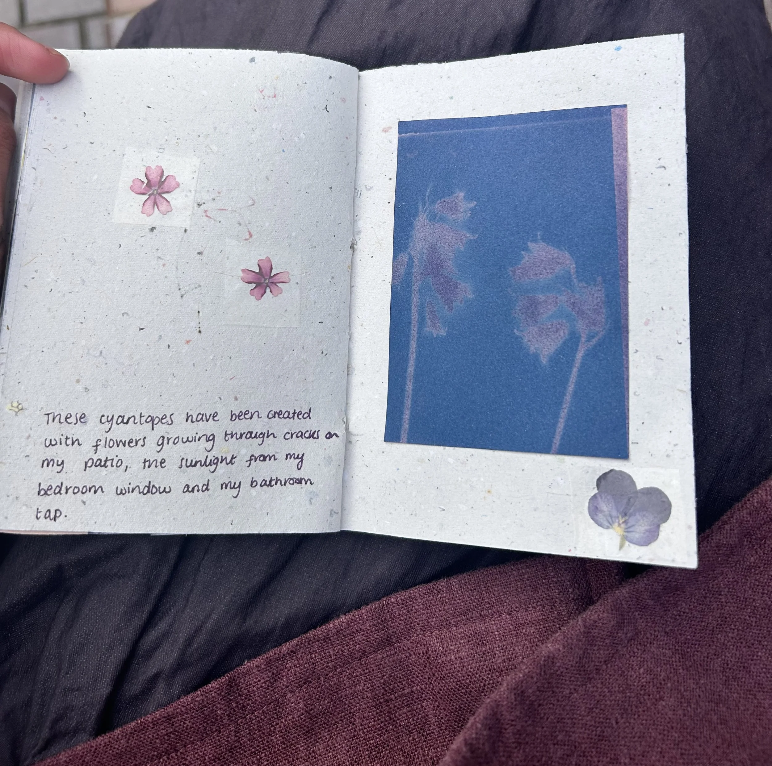 IMG_3037.jpeg