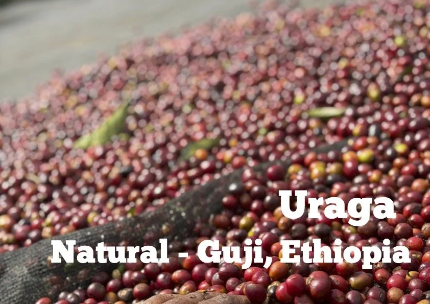 Uraga Natural -- Guji, Ethiopia.jpg