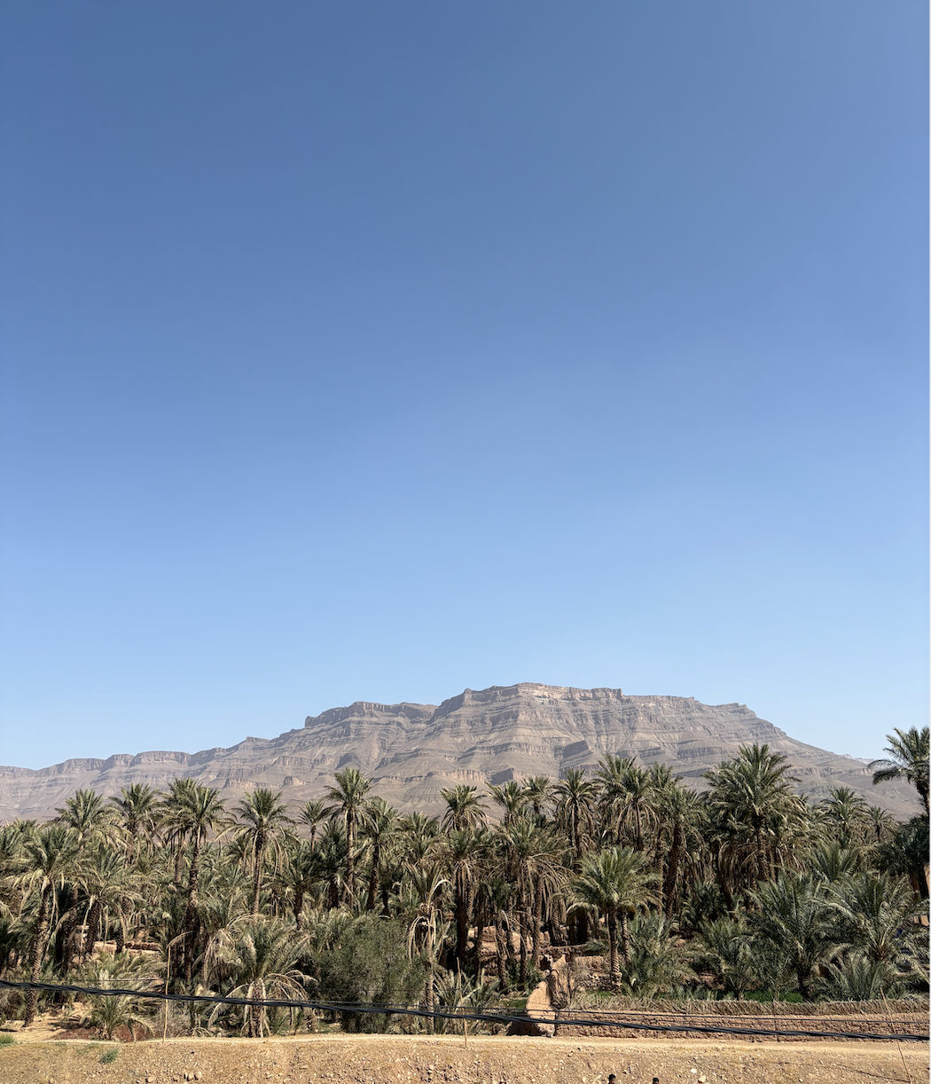 Screen Shot 2025-03-15 at 6.22.14 PM.png