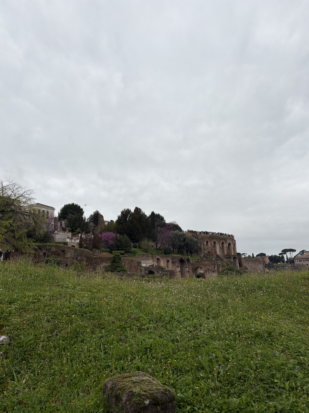 Screen Shot 2025-04-03 at 1.20.25 PM.png