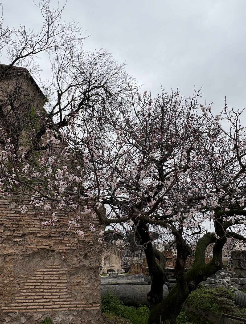 Screen Shot 2025-04-03 at 1.20.49 PM.png