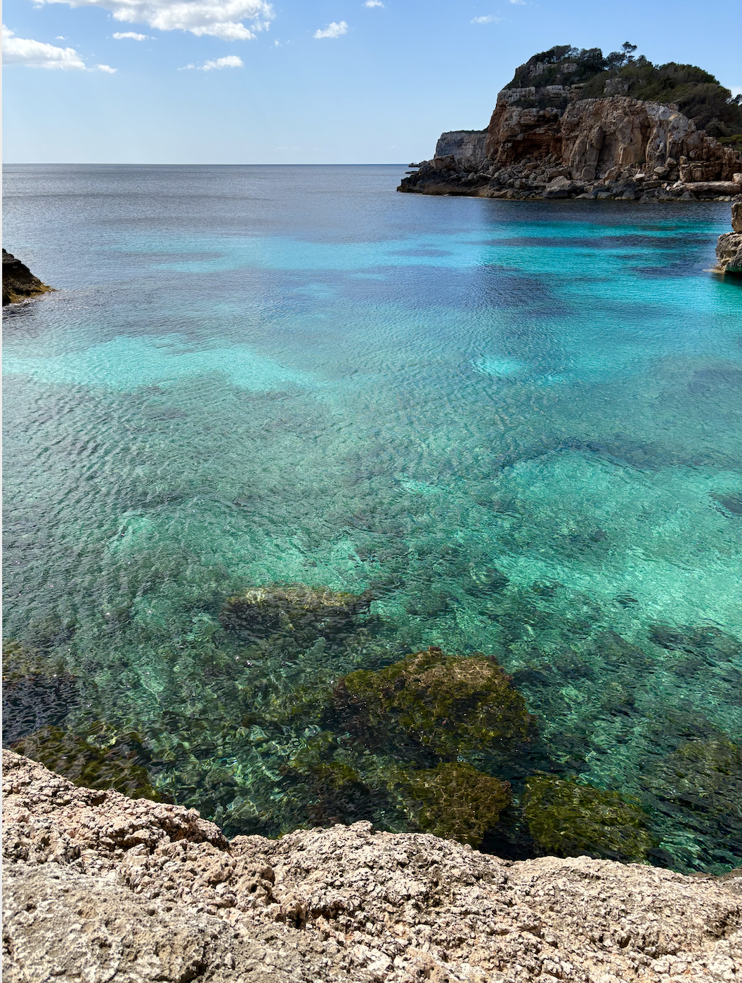 Screen Shot 2025-04-03 at 1.35.10 PM.png