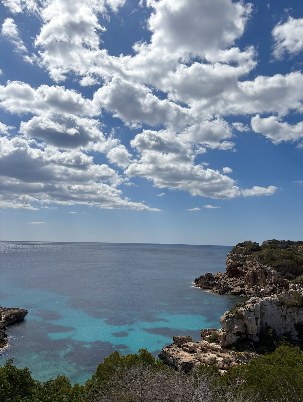 Screen Shot 2025-04-03 at 1.34.47 PM.png