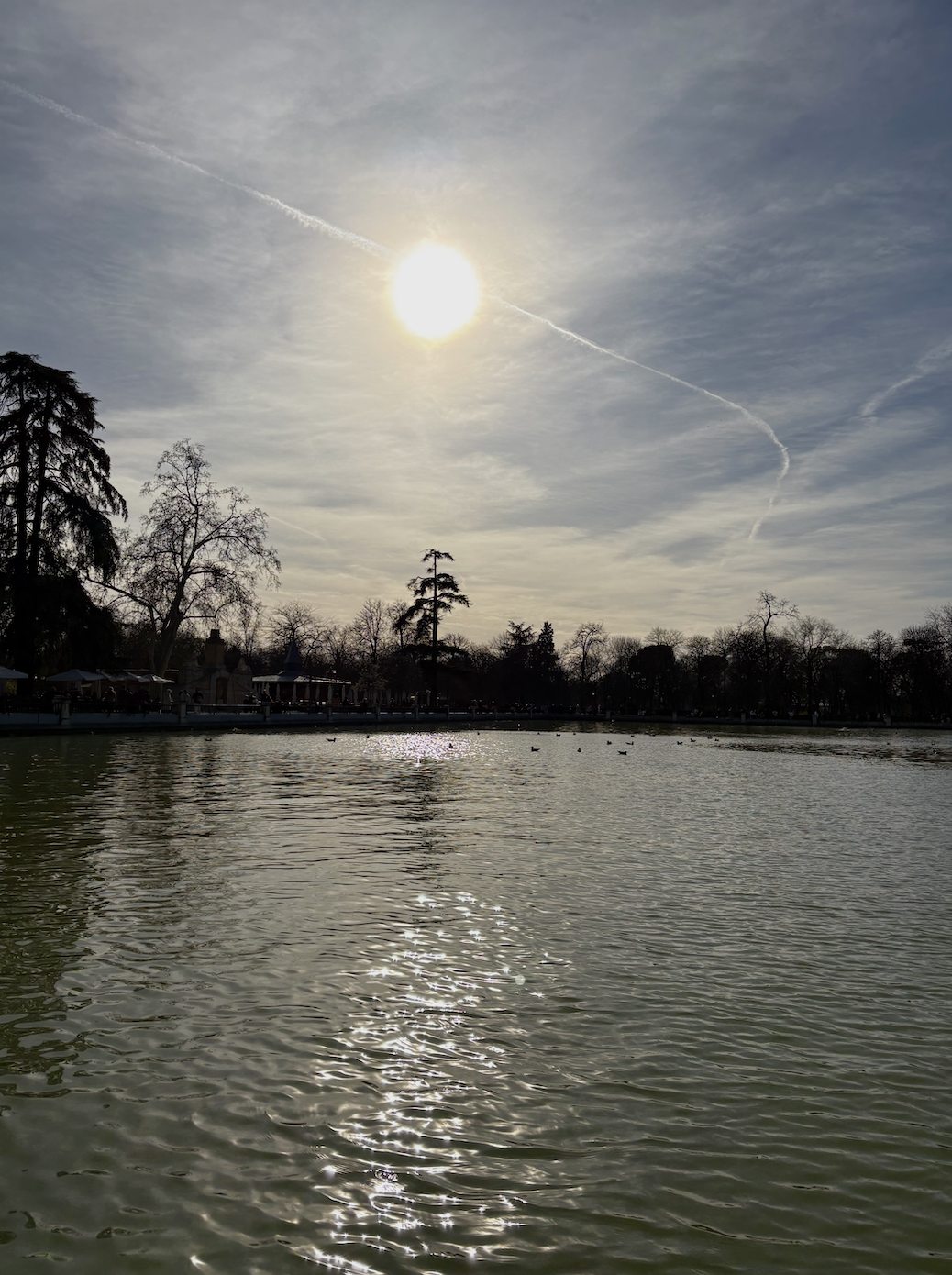 Screen Shot 2025-03-15 at 6.38.51 PM.png