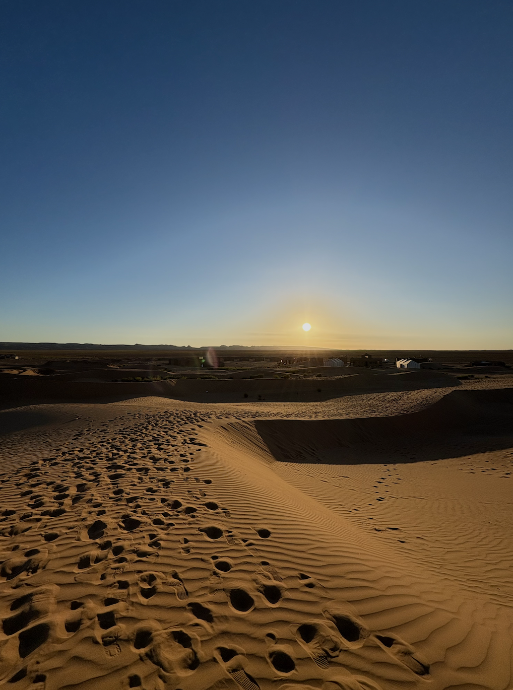 Screen Shot 2025-03-15 at 6.24.29 PM.png