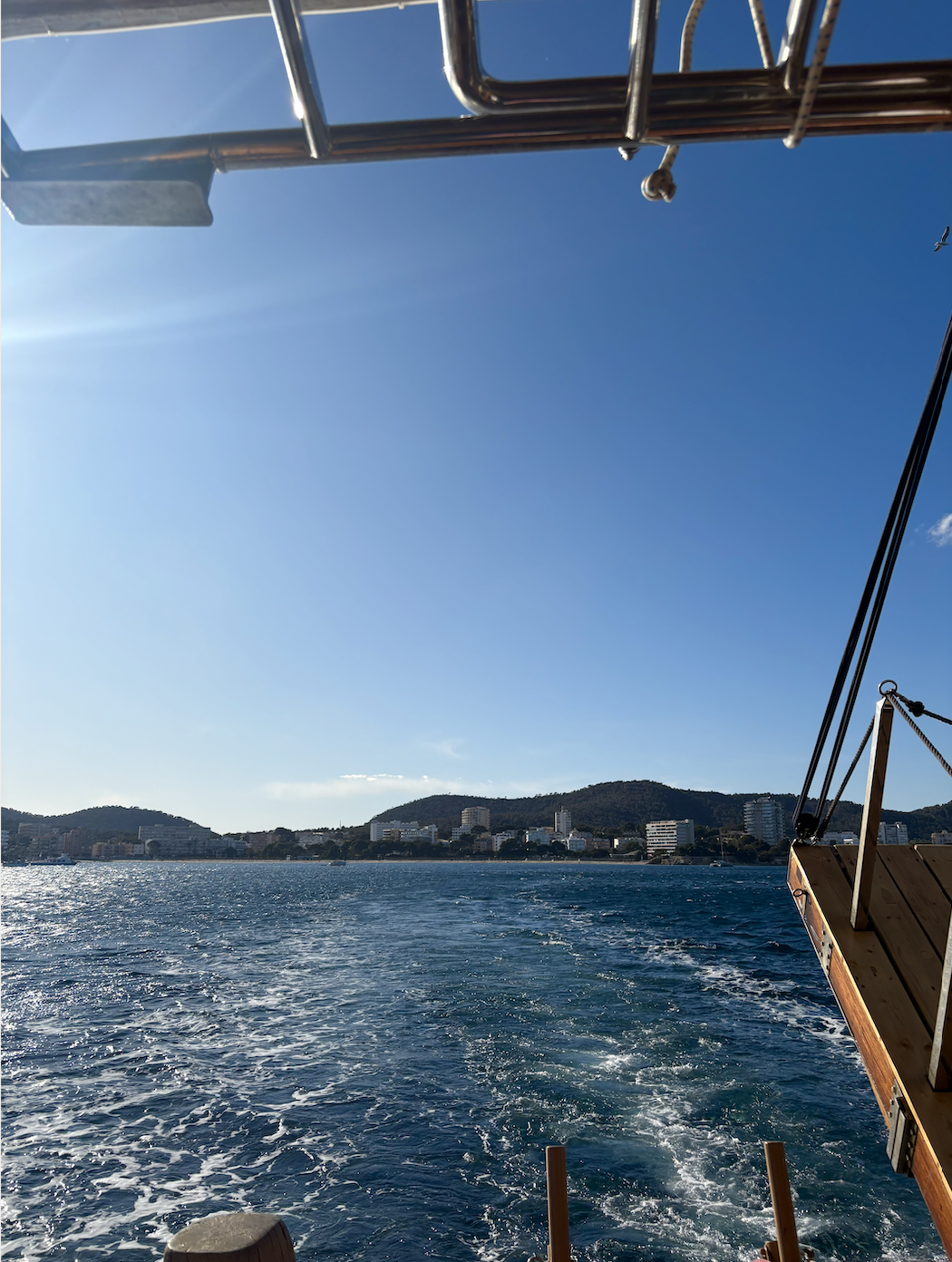 Screen Shot 2025-04-03 at 1.35.43 PM.png