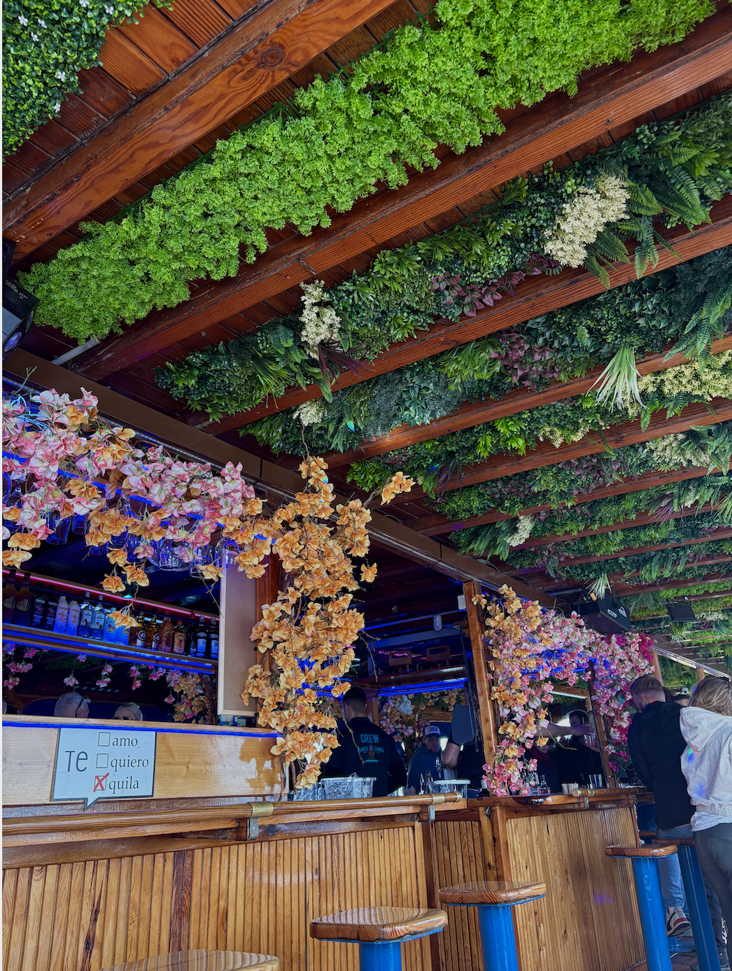 Screen Shot 2025-04-03 at 1.35.32 PM.png