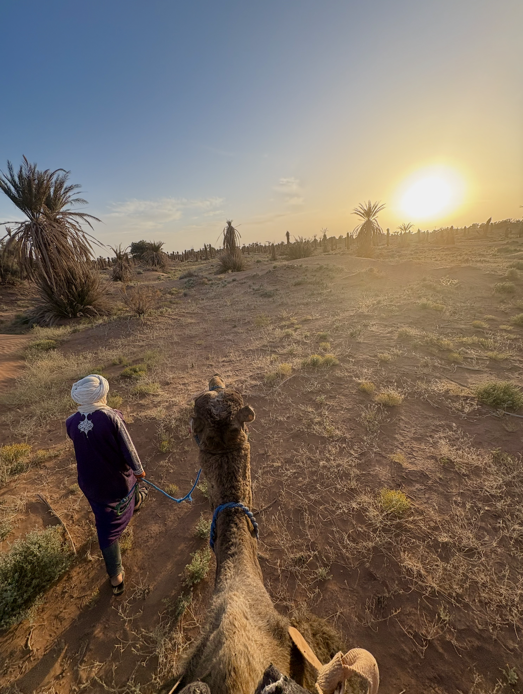 Screen Shot 2025-03-15 at 6.22.58 PM.png