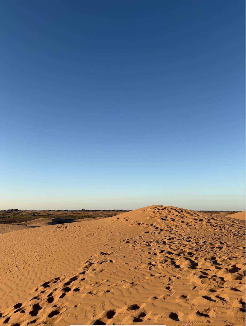 Screen Shot 2025-03-15 at 6.24.10 PM.png