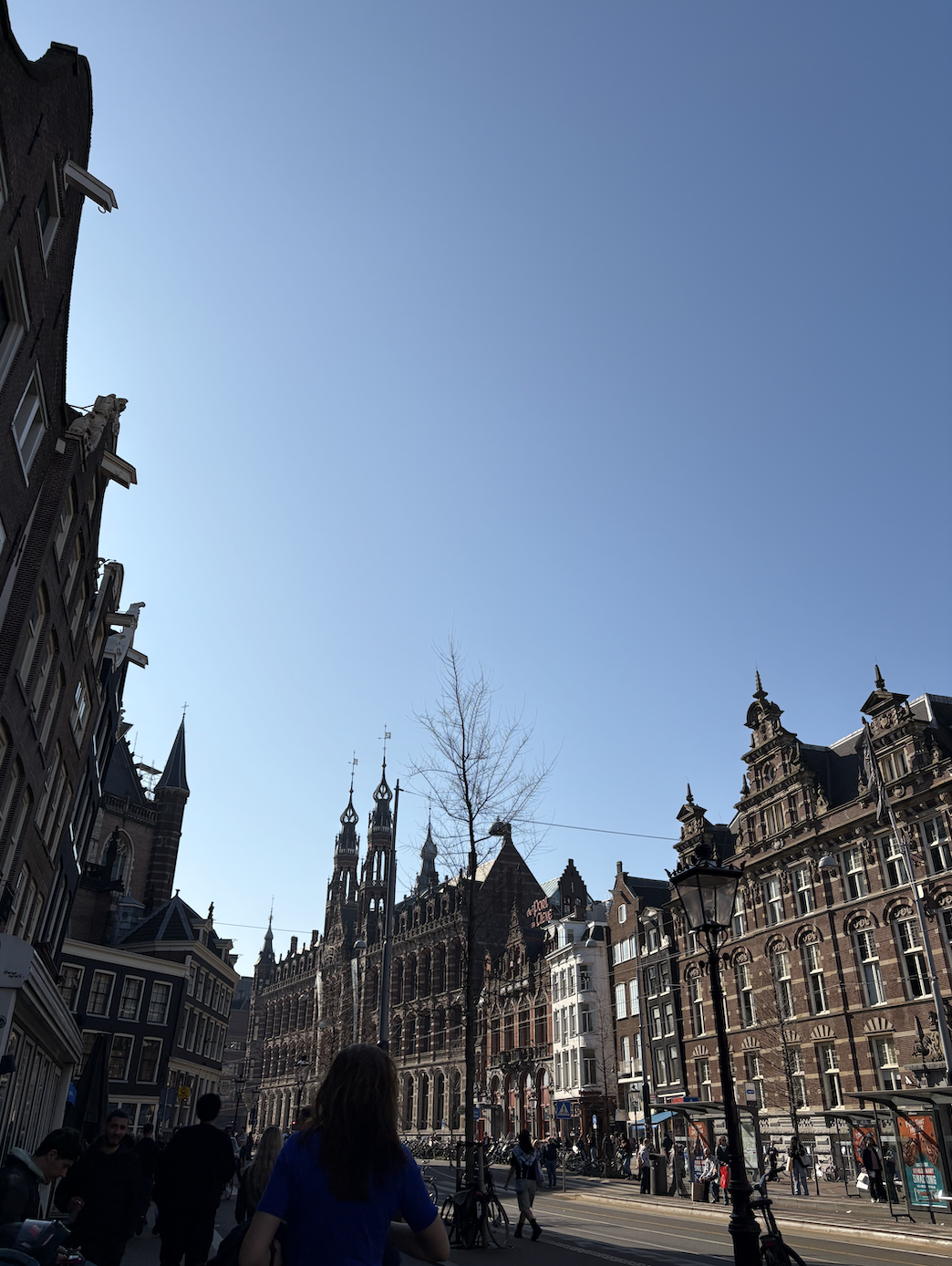 Screen Shot 2025-03-15 at 6.56.11 PM.png