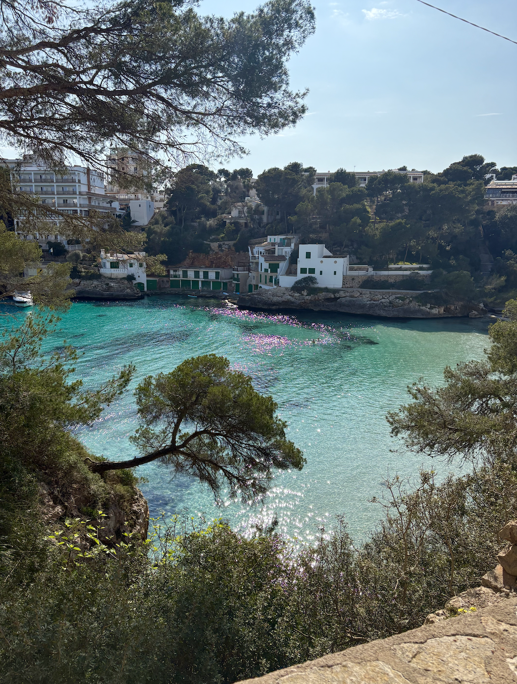 Screen Shot 2025-04-03 at 1.34.01 PM.png