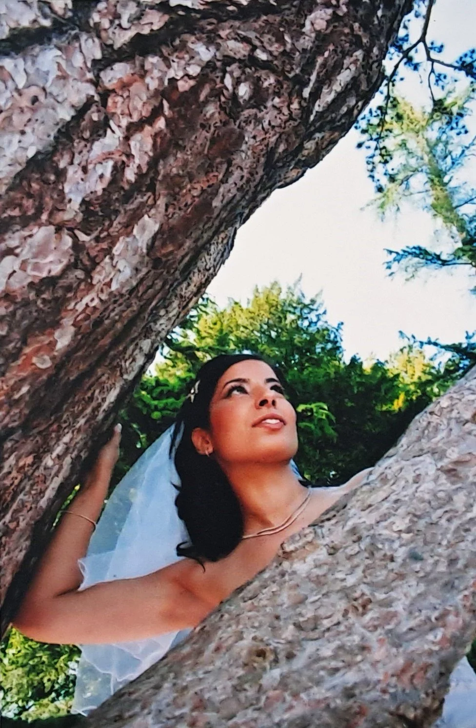 Femme portant un voile de mariage, regardant vers le haut, entre deux branches d'un arbre, avec des feuilles vertes en arrière-plan.