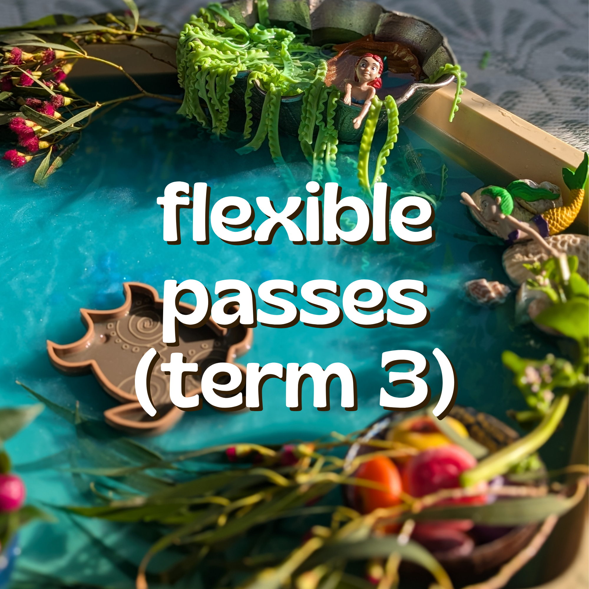 Flexible Pass (Term Three)