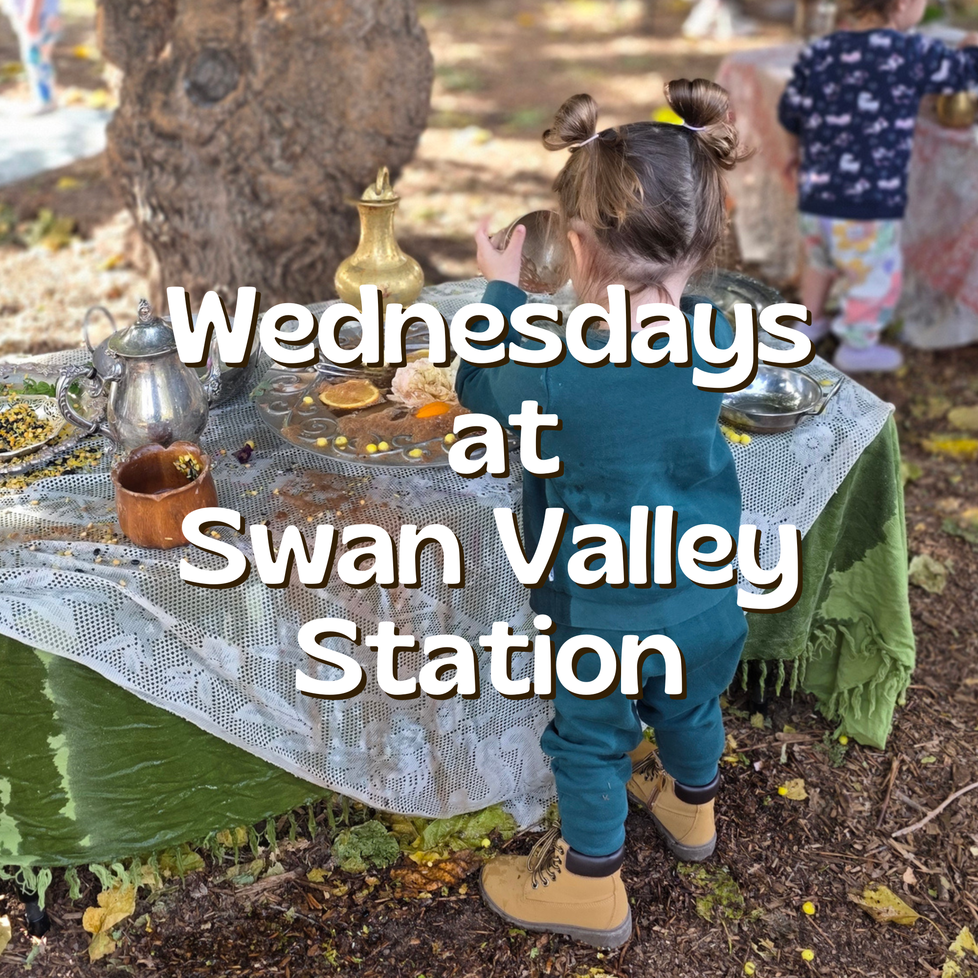 Wednesdays at Swan Valley Station