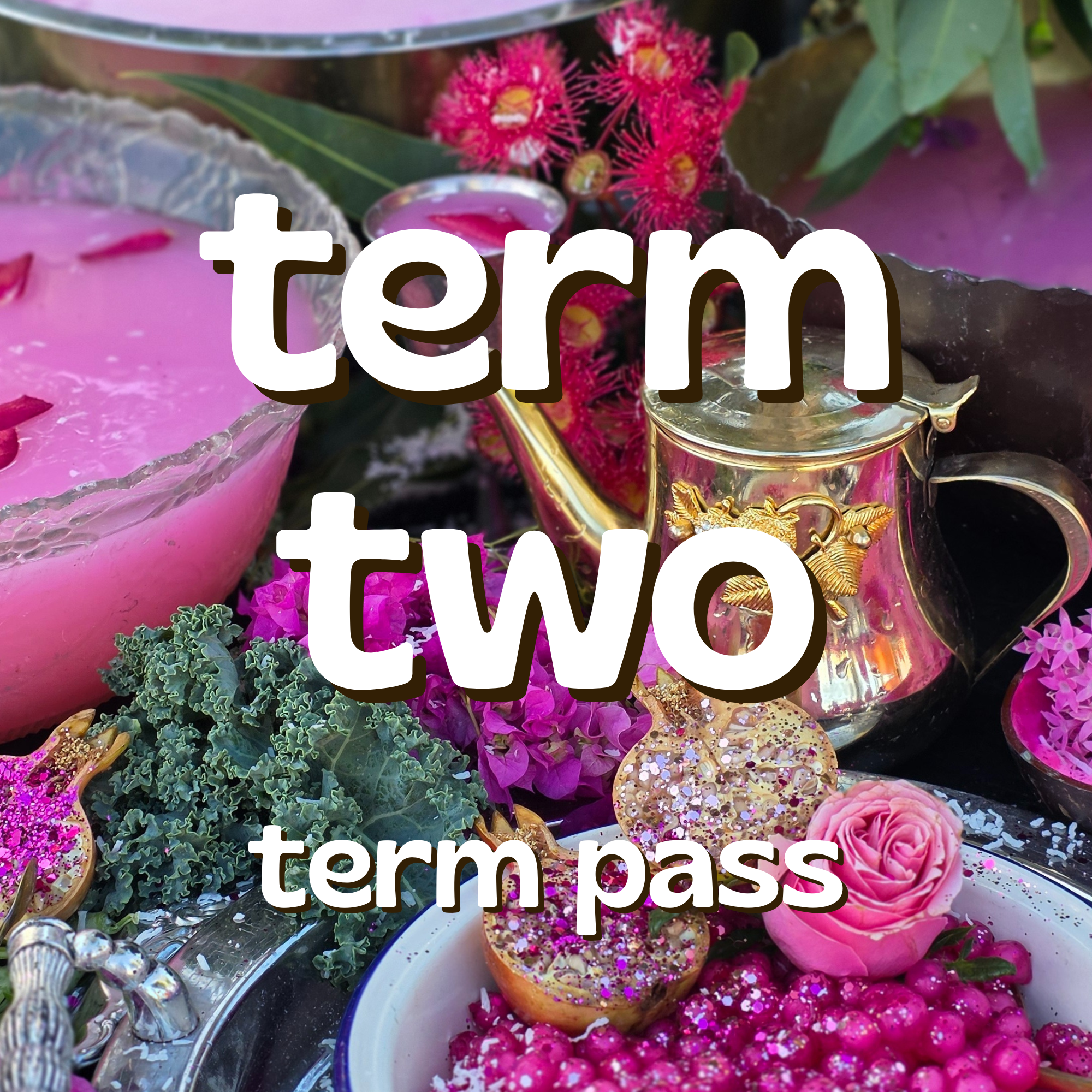 Term 2 Term Pass