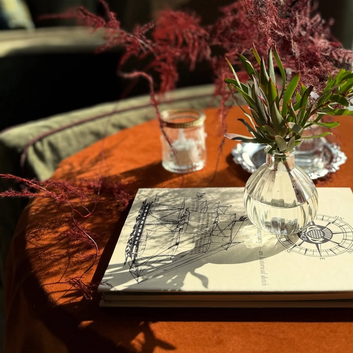 Winter sun coming through...