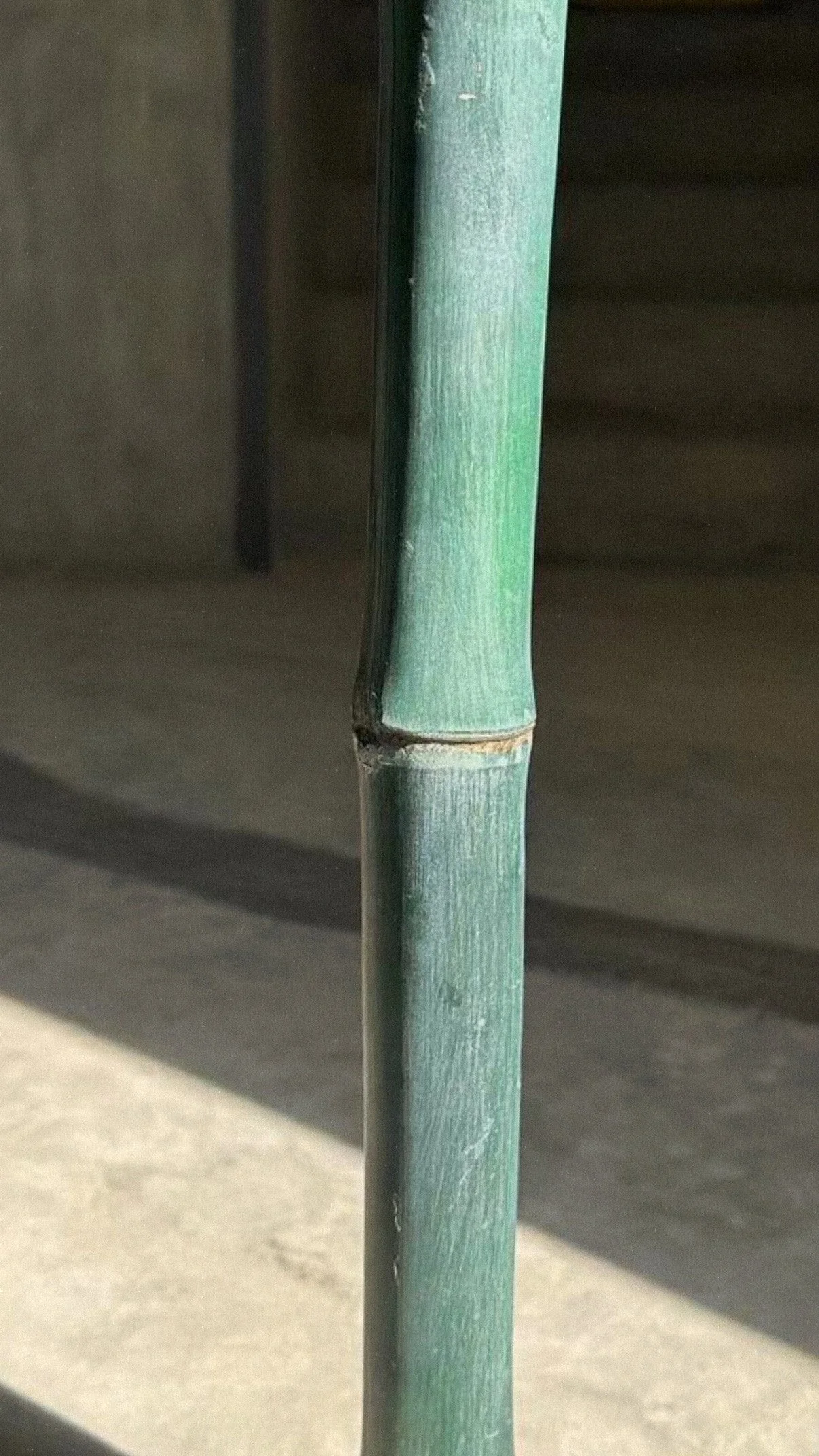 Crafted Bamboo in Blue