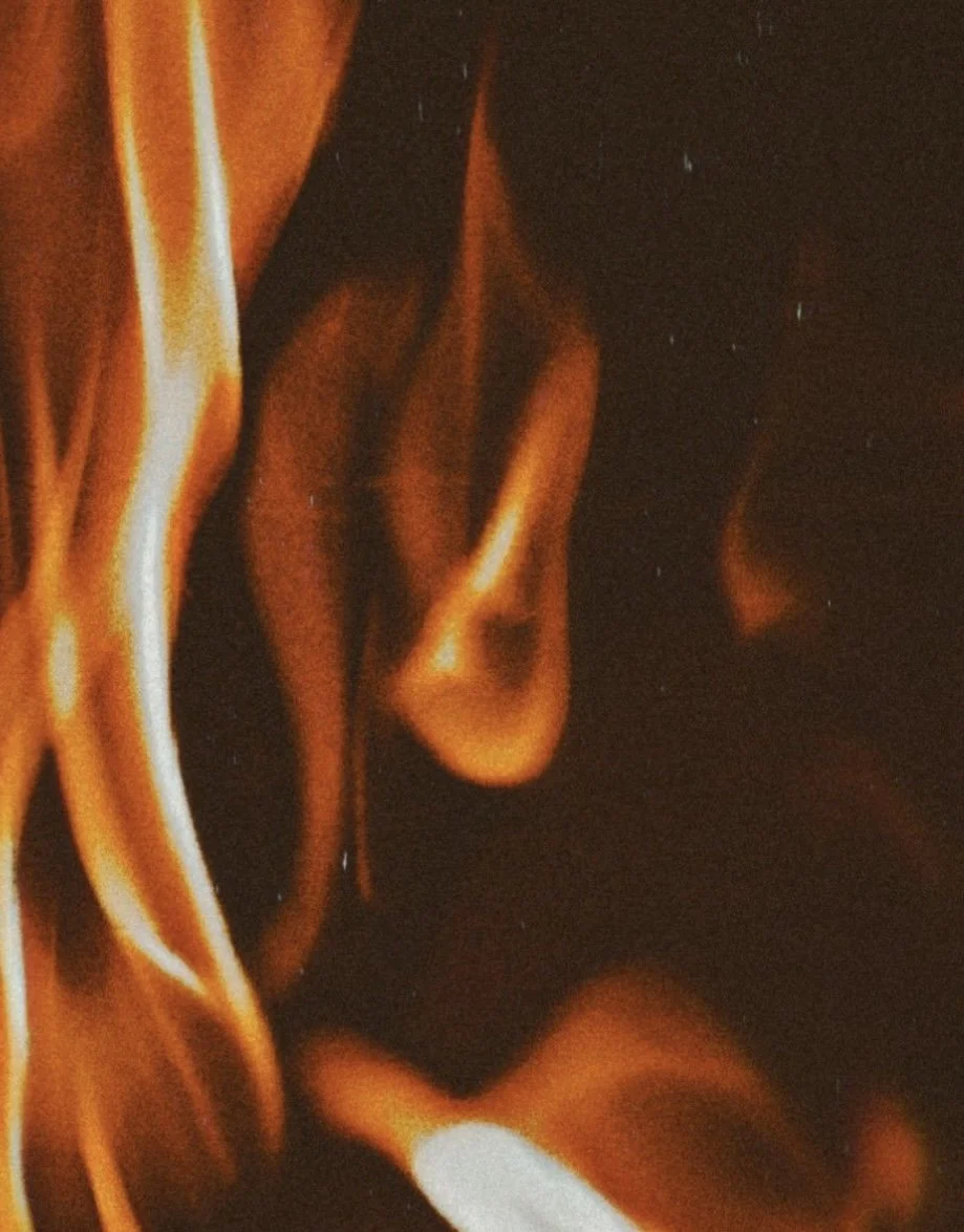 Fire Retardant Faux Plant