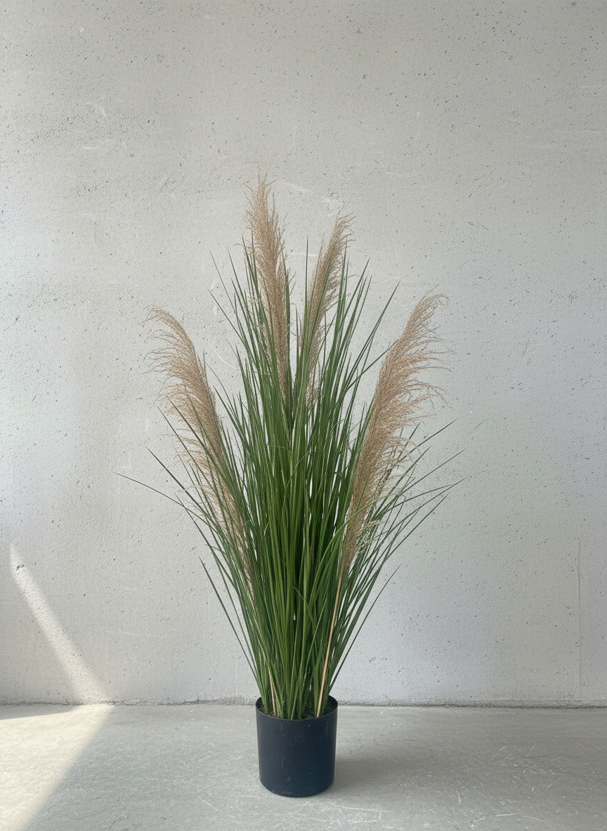 A tall potted houseplant with green leaves and beige wispy plumes, placed against a white wall.