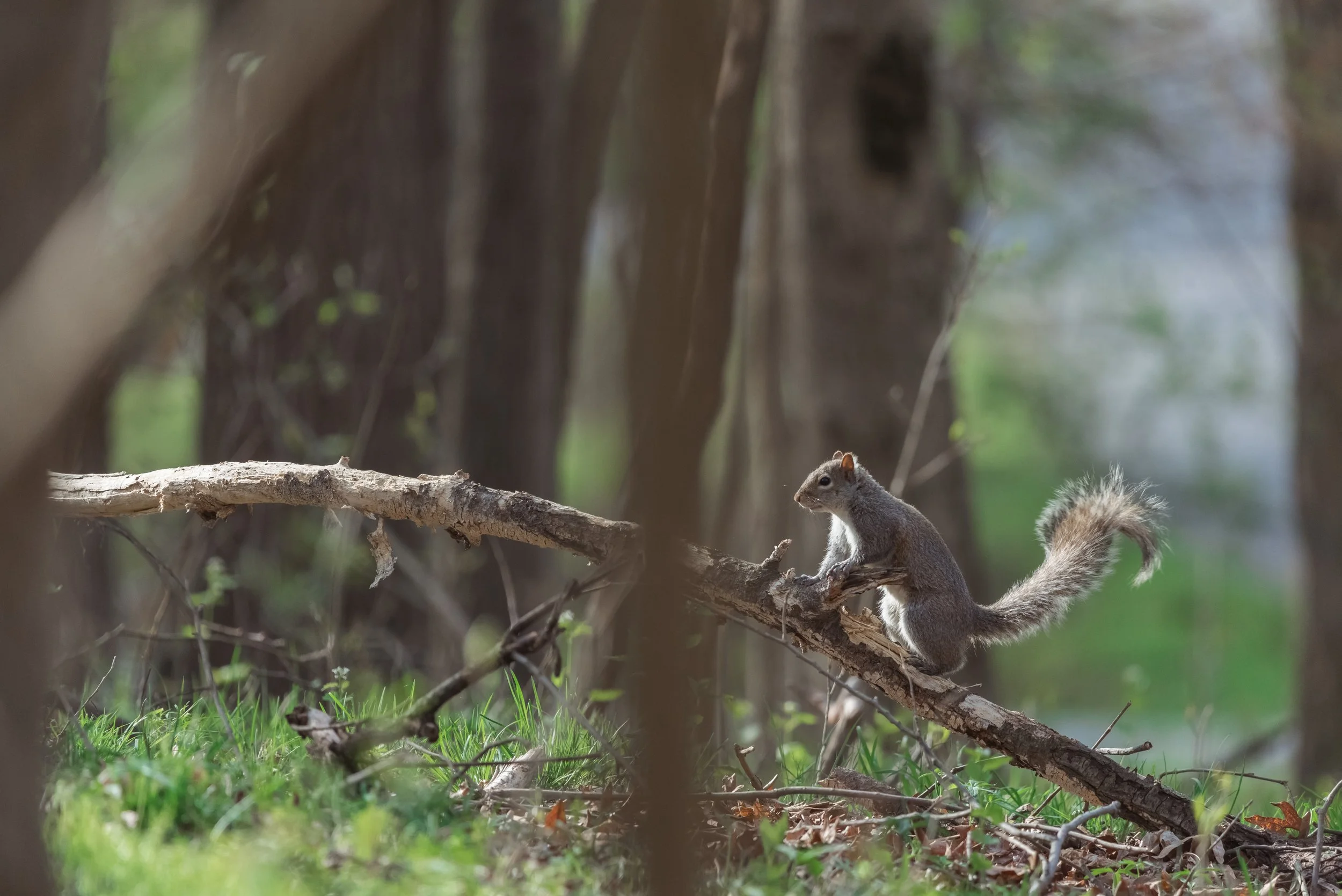 April 27th 2023-020-2.jpg