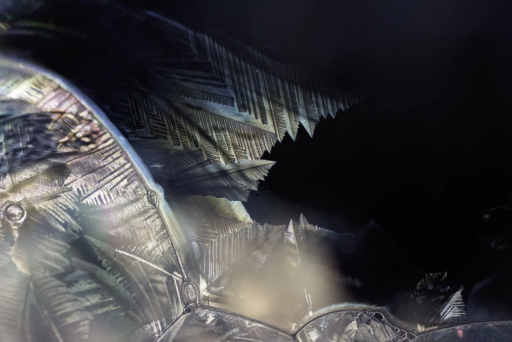 untitled shoot-053 copy.jpg