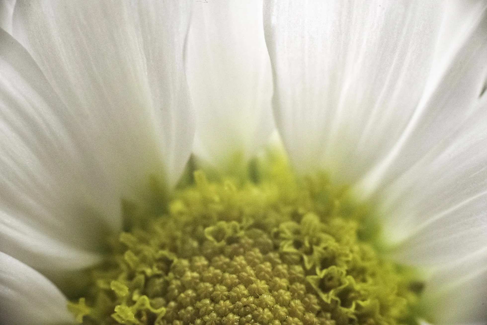 March 24th 2023-013 copy.jpg