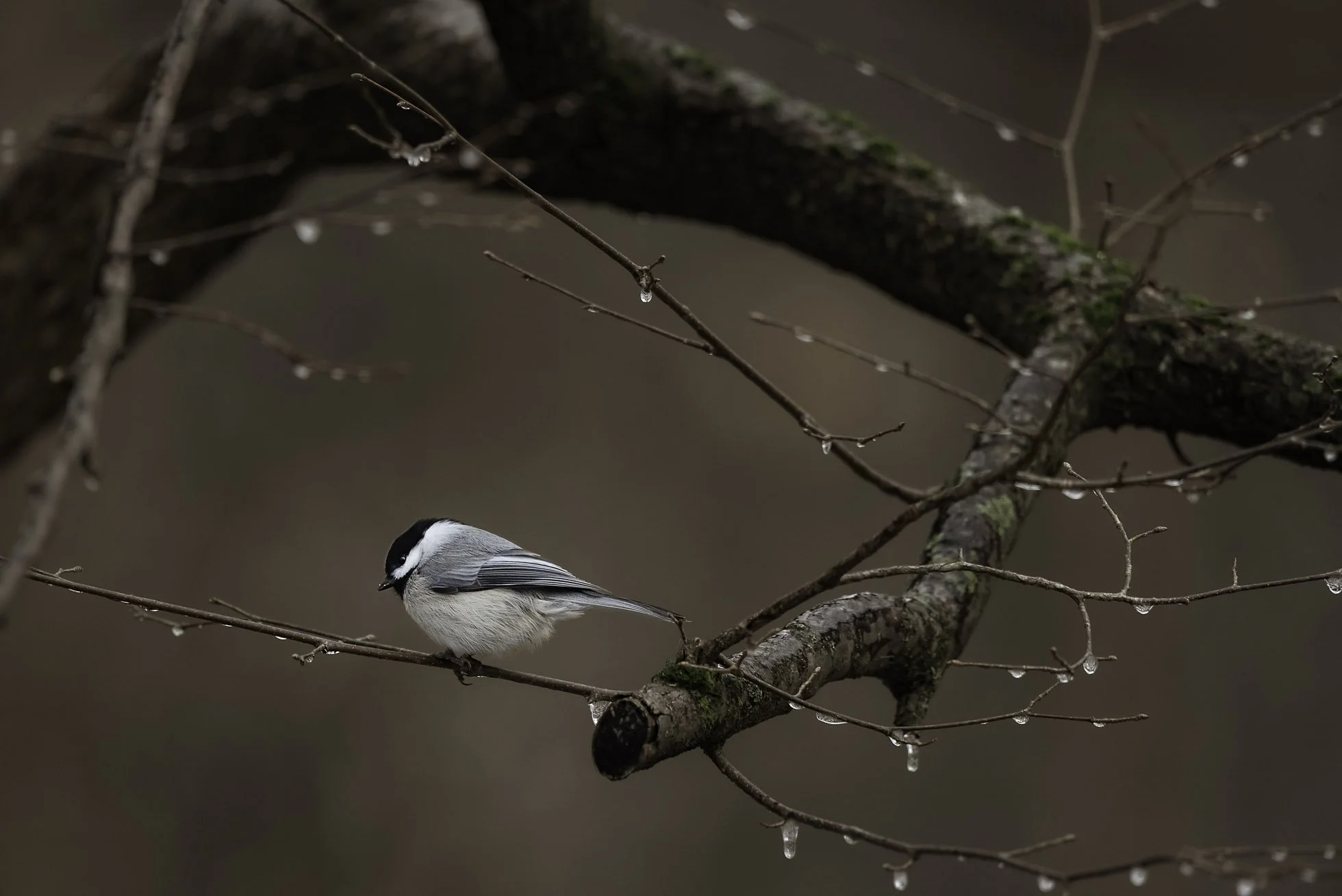 untitled shoot-074-Edit-Edit copy web.jpg