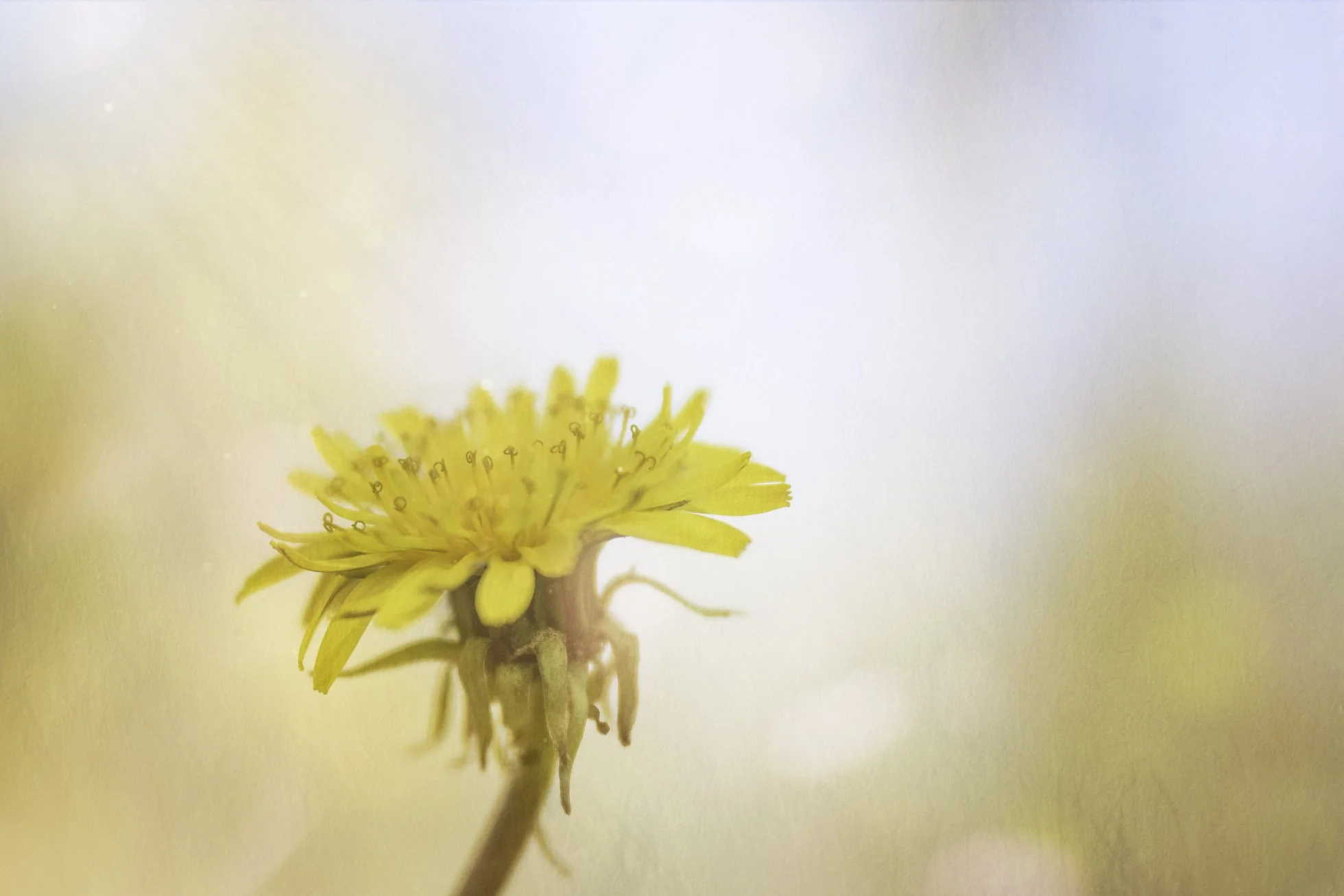 April 14th 2023-127-Edit copy.jpg