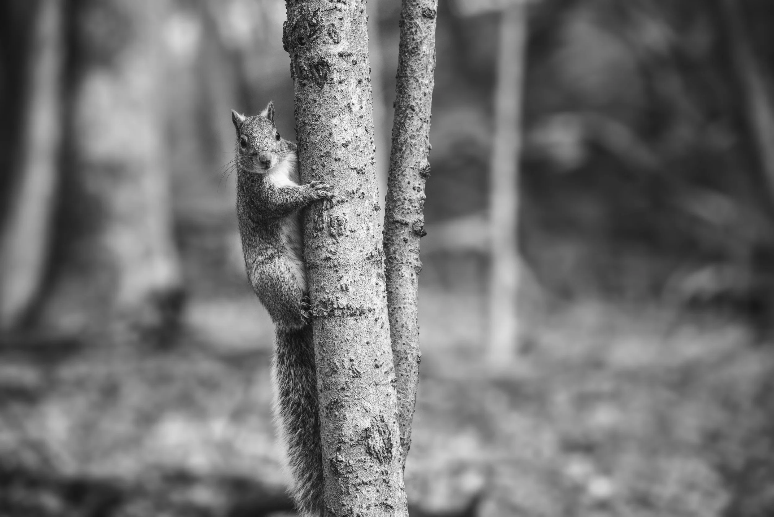 untitled shoot-093-Edit.jpg