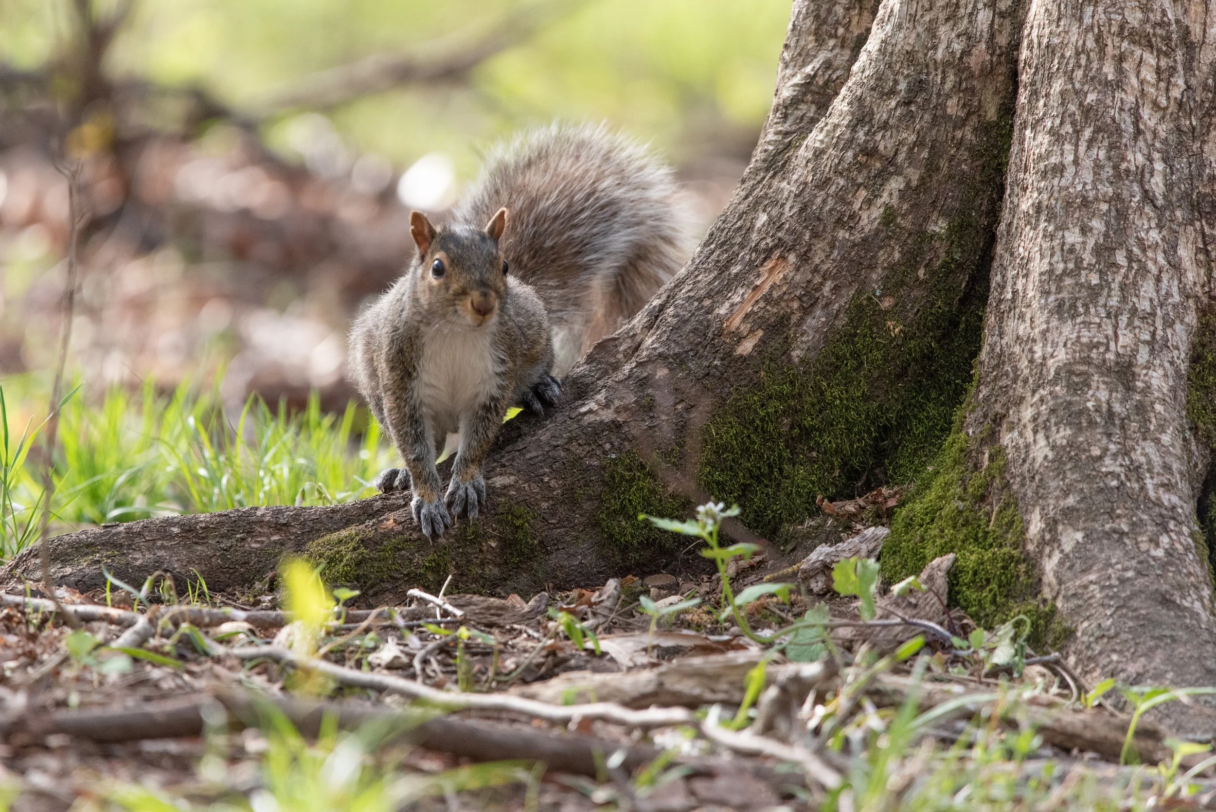 April 27th 2023-122-2.jpg