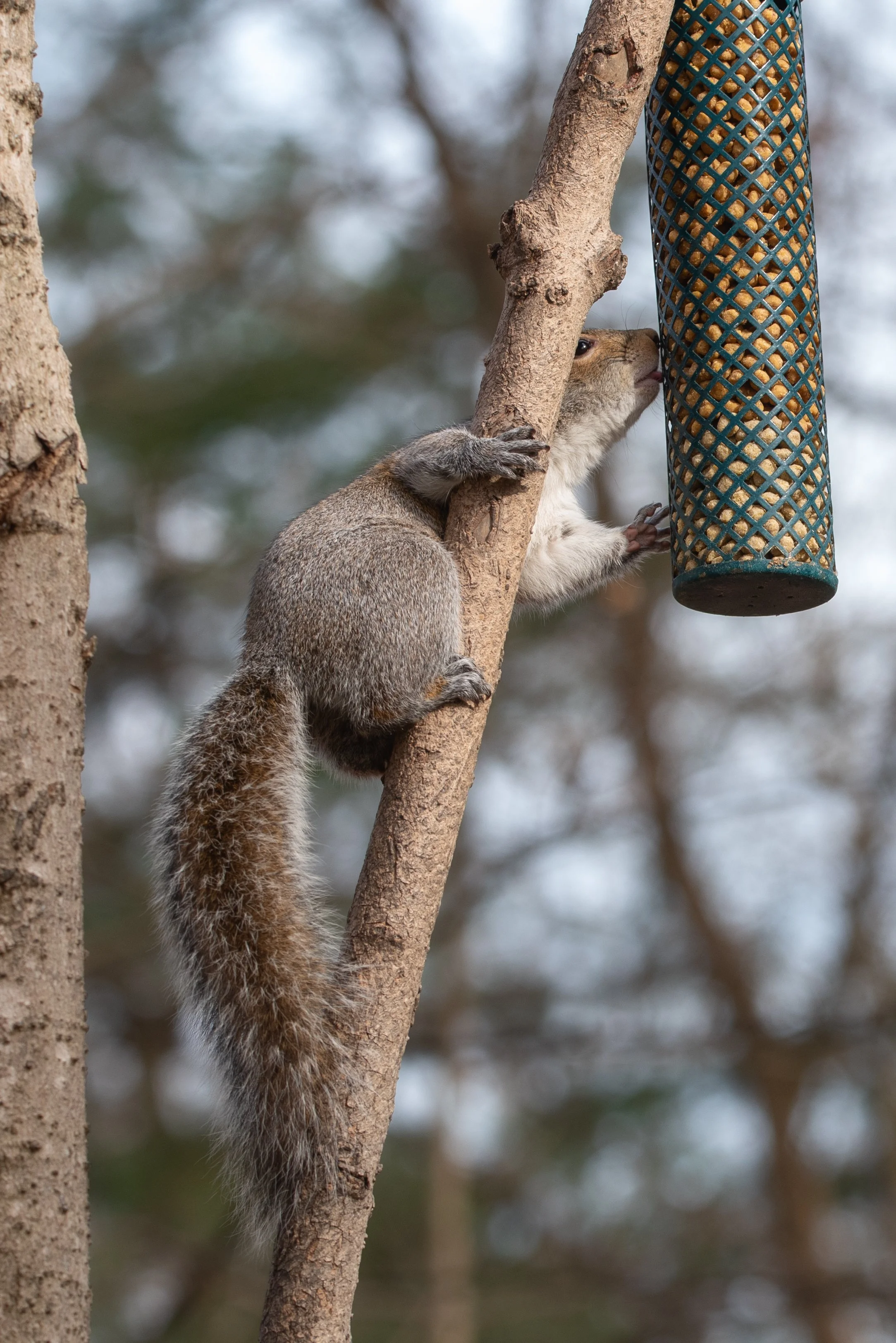 untitled shoot-040-Edit.jpg